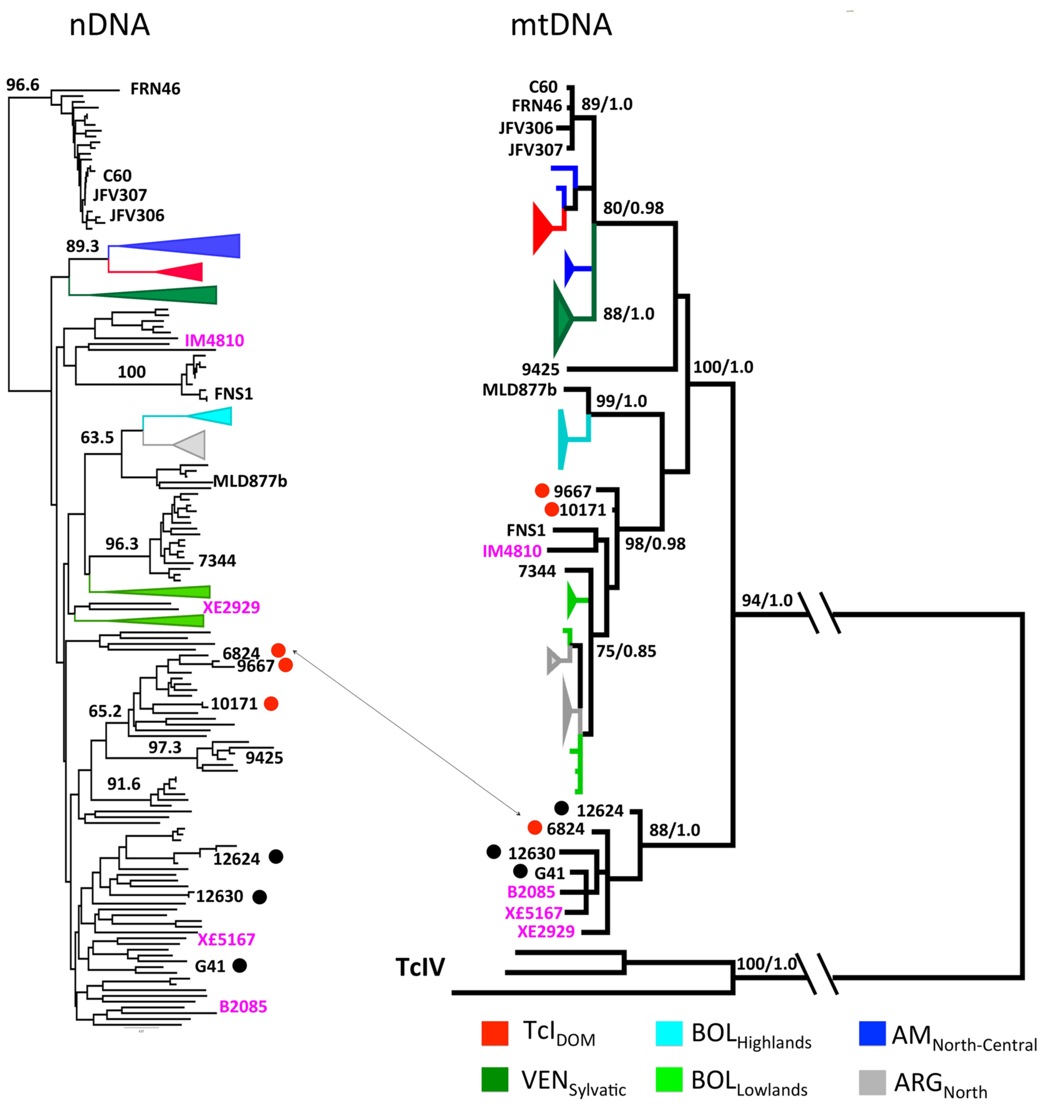 Pathogens 09 00356 g005 Pathogens 09 00356 g005