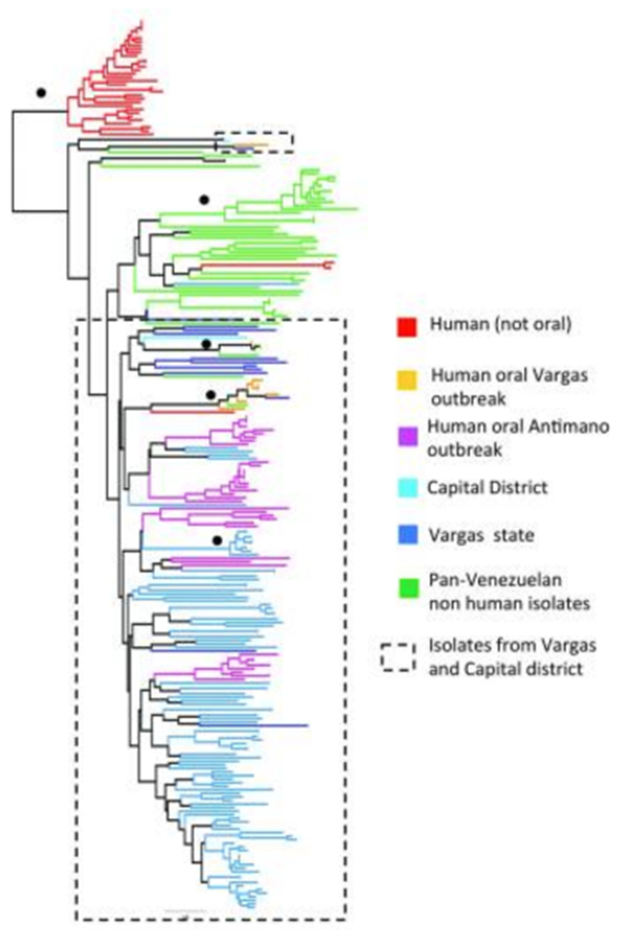 Pathogens 09 00356 g007 Pathogens 09 00356 g007