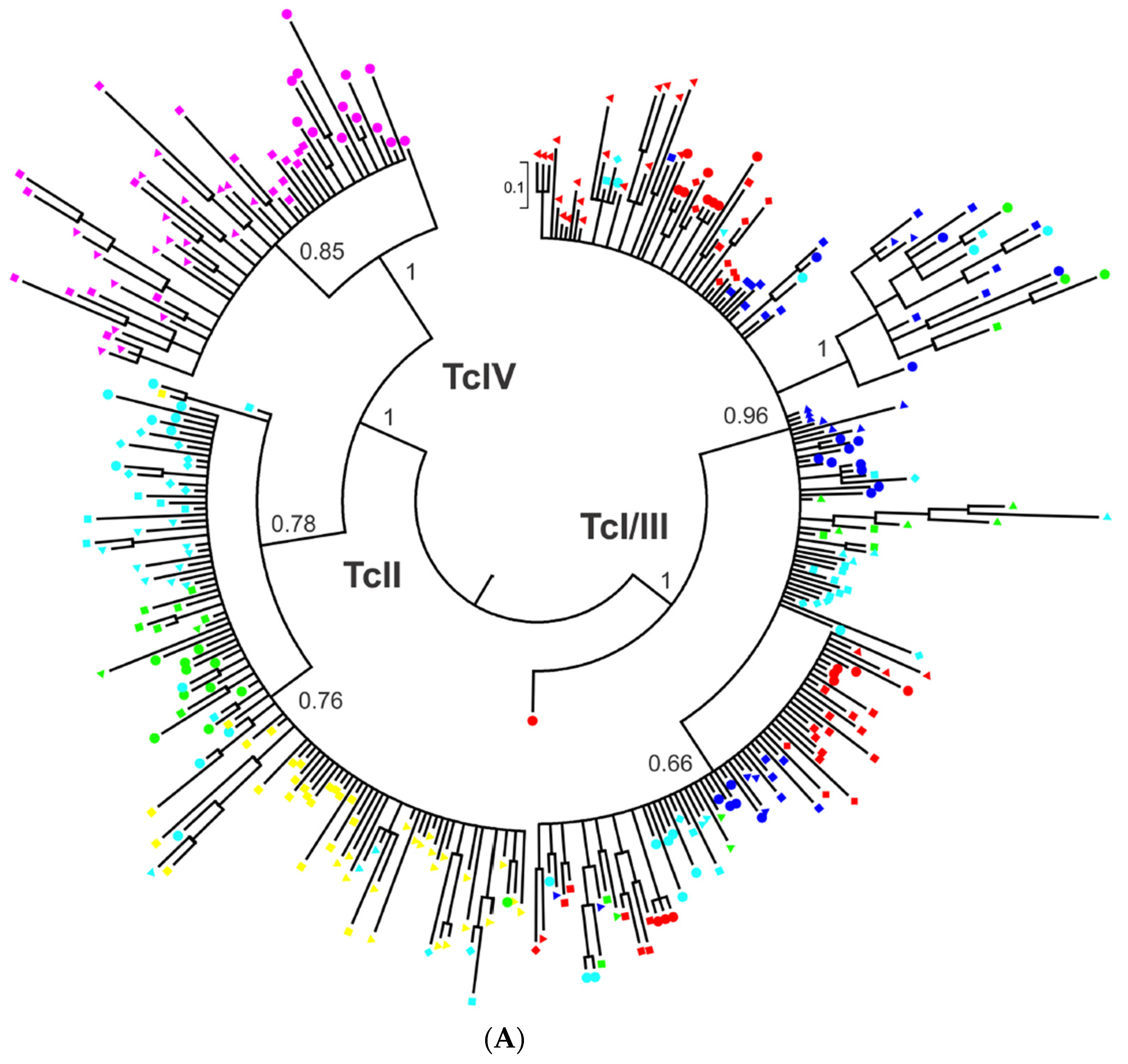 Pathogens 09 00356 g010a Pathogens 09 00356 g010a