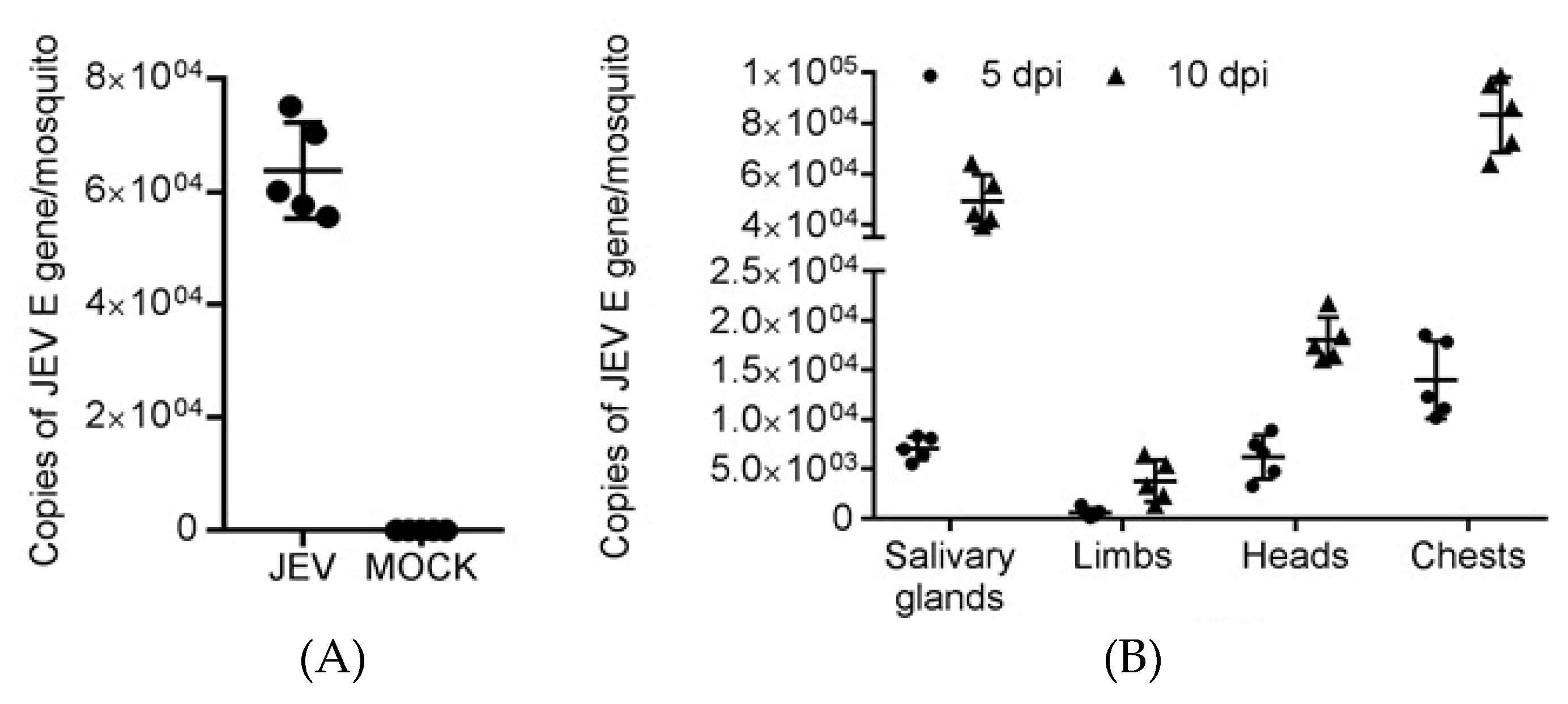 Pathogens 09 00371 g001 Pathogens 09 00371 g001