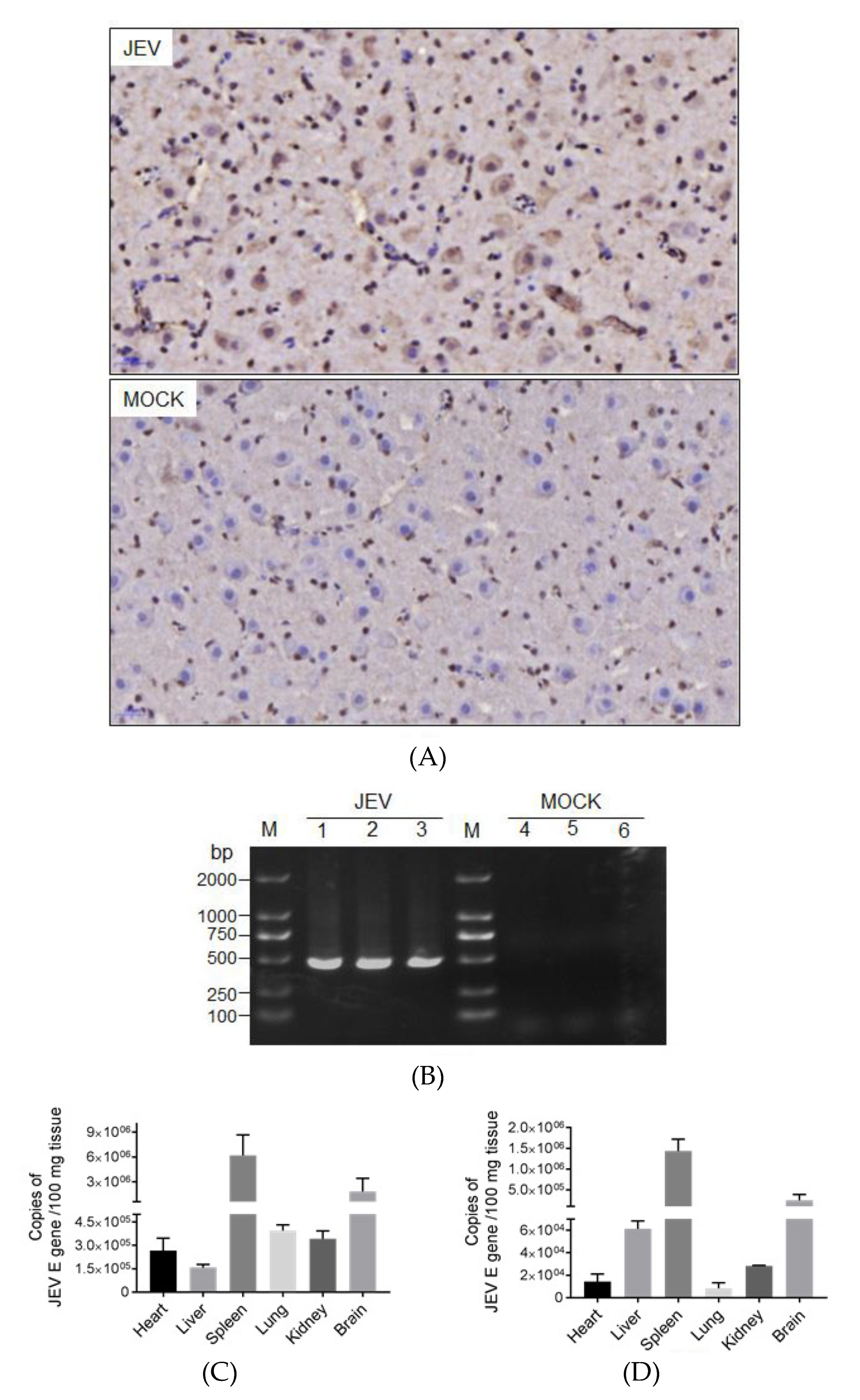 Pathogens 09 00371 g004 Pathogens 09 00371 g004