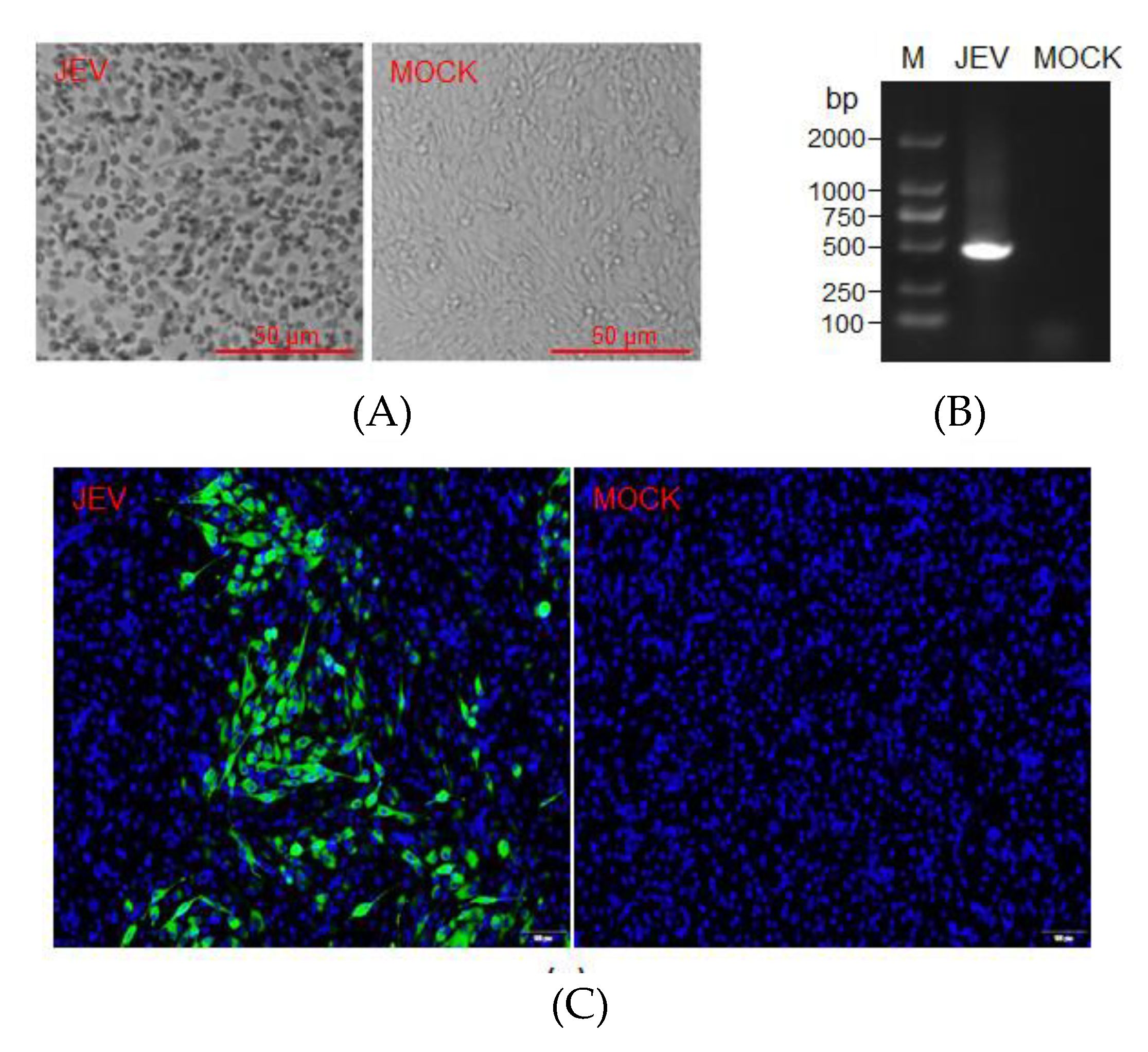 Pathogens 09 00371 g005 Pathogens 09 00371 g005