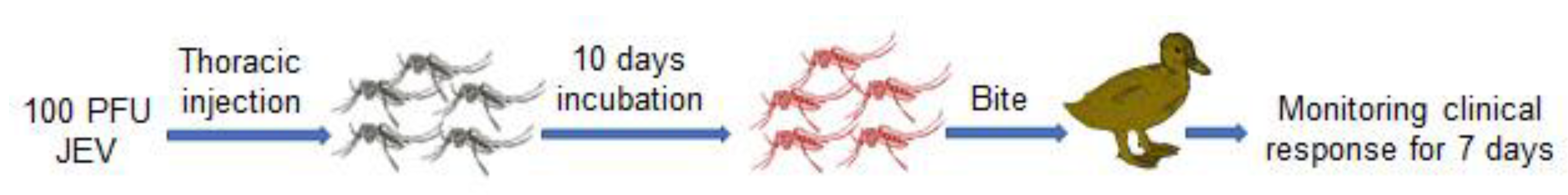 Pathogens 09 00371 g006 Pathogens 09 00371 g006