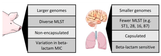 Pathogens 09 00374 g0a1