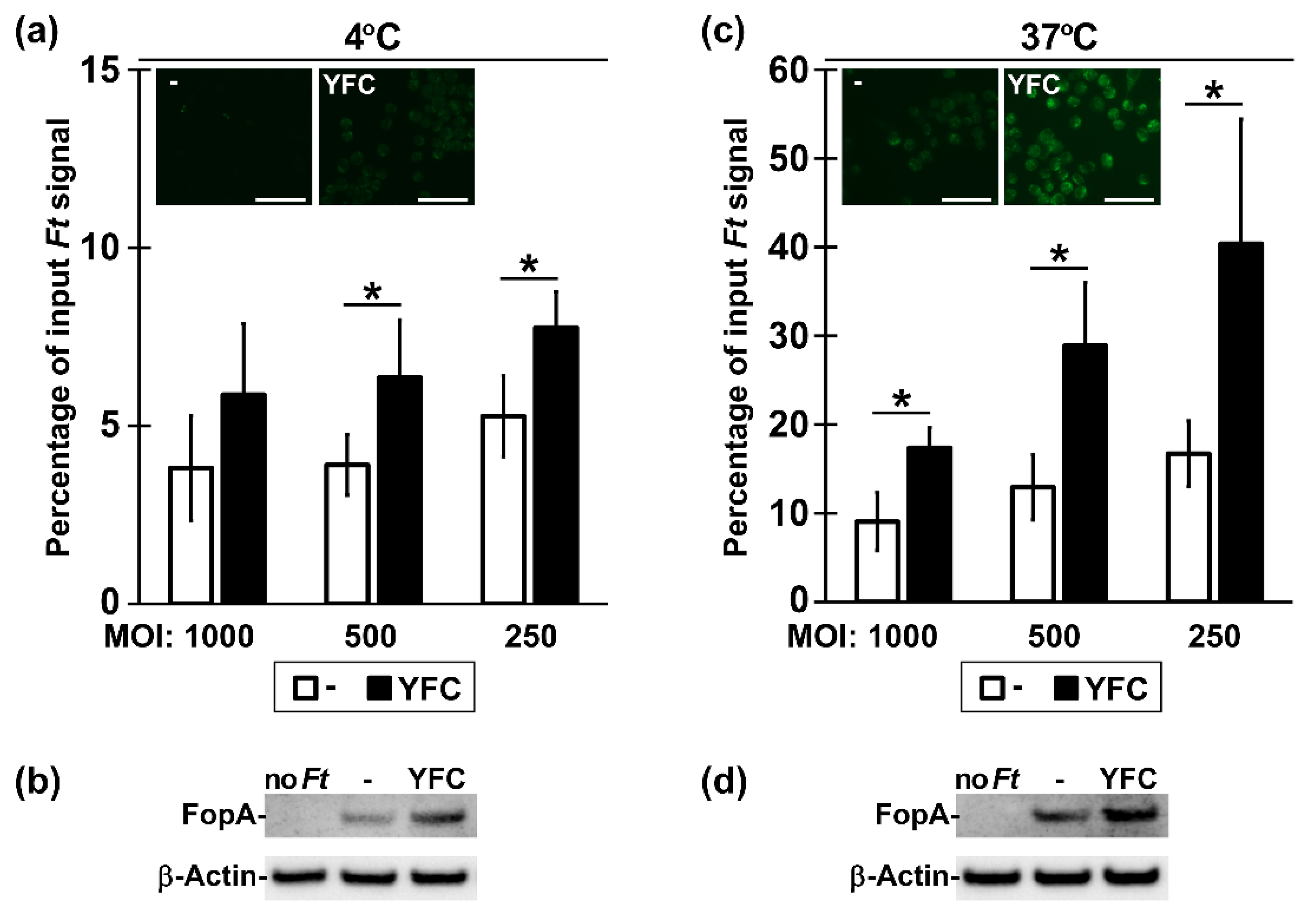 Pathogens 09 00375 g002
