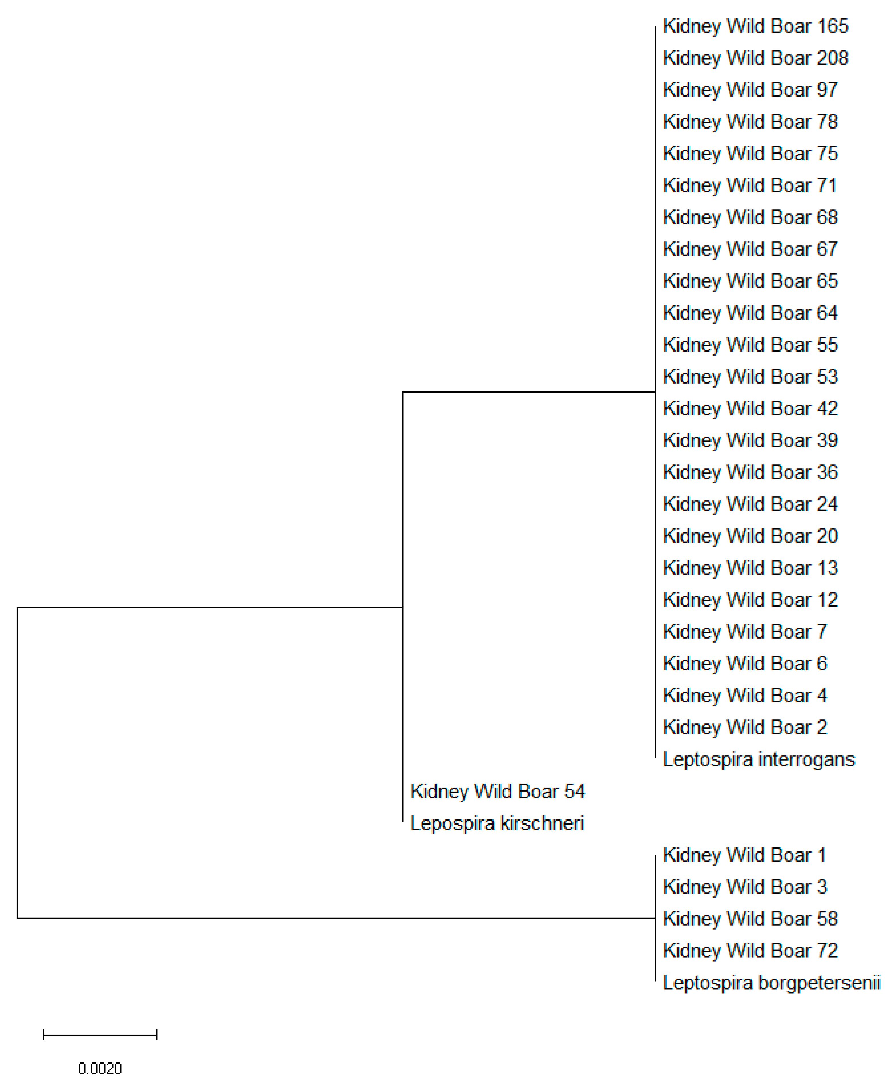 Pathogens 09 00377 g002