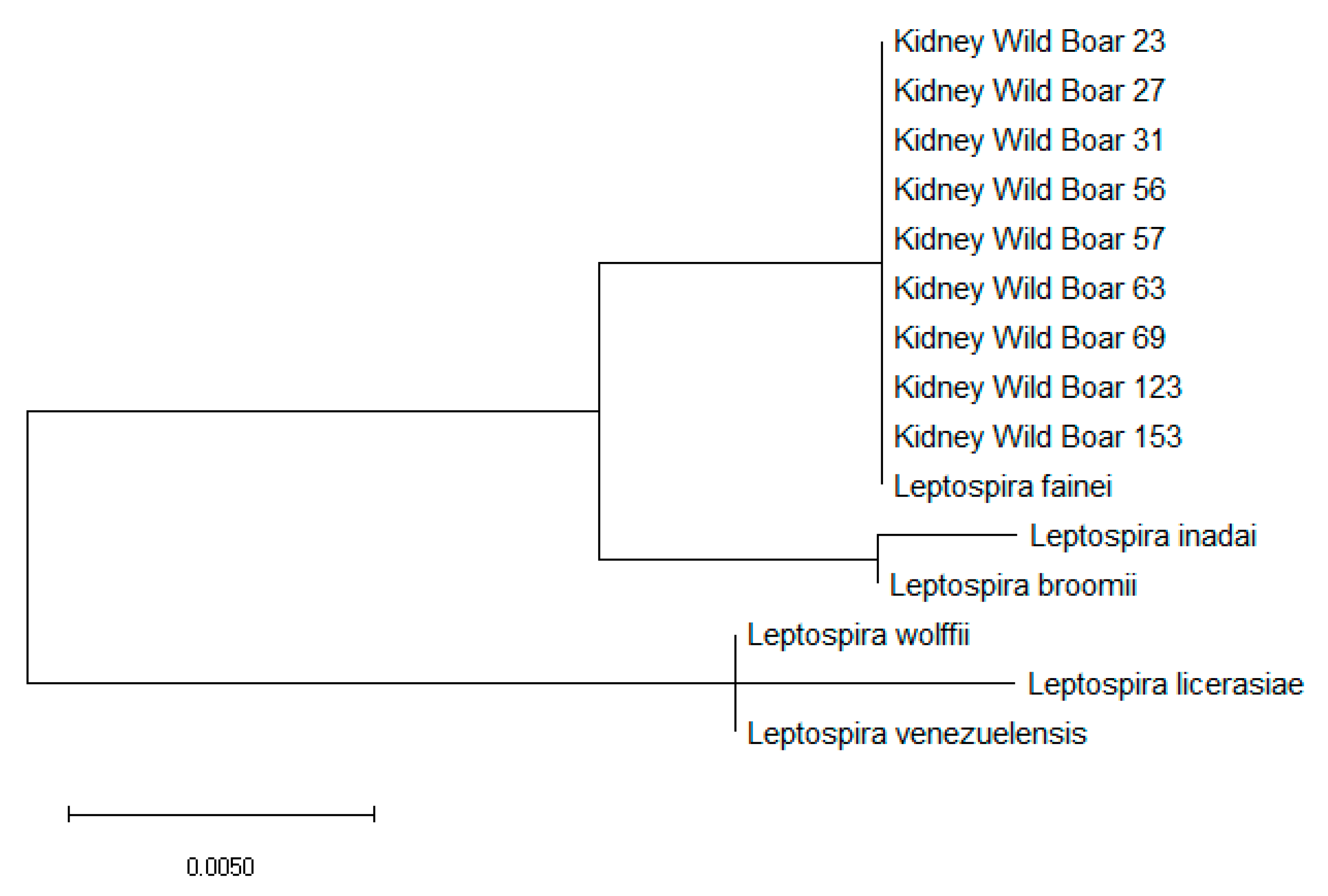 Pathogens 09 00377 g003