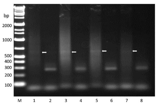 Pathogens 09 00378 g0a3