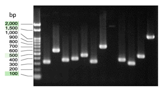 Pathogens 09 00378 g0a5