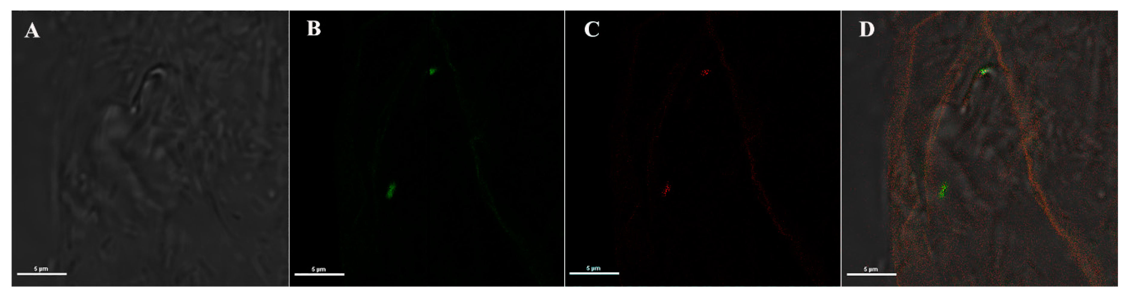 Pathogens 09 00380 g002