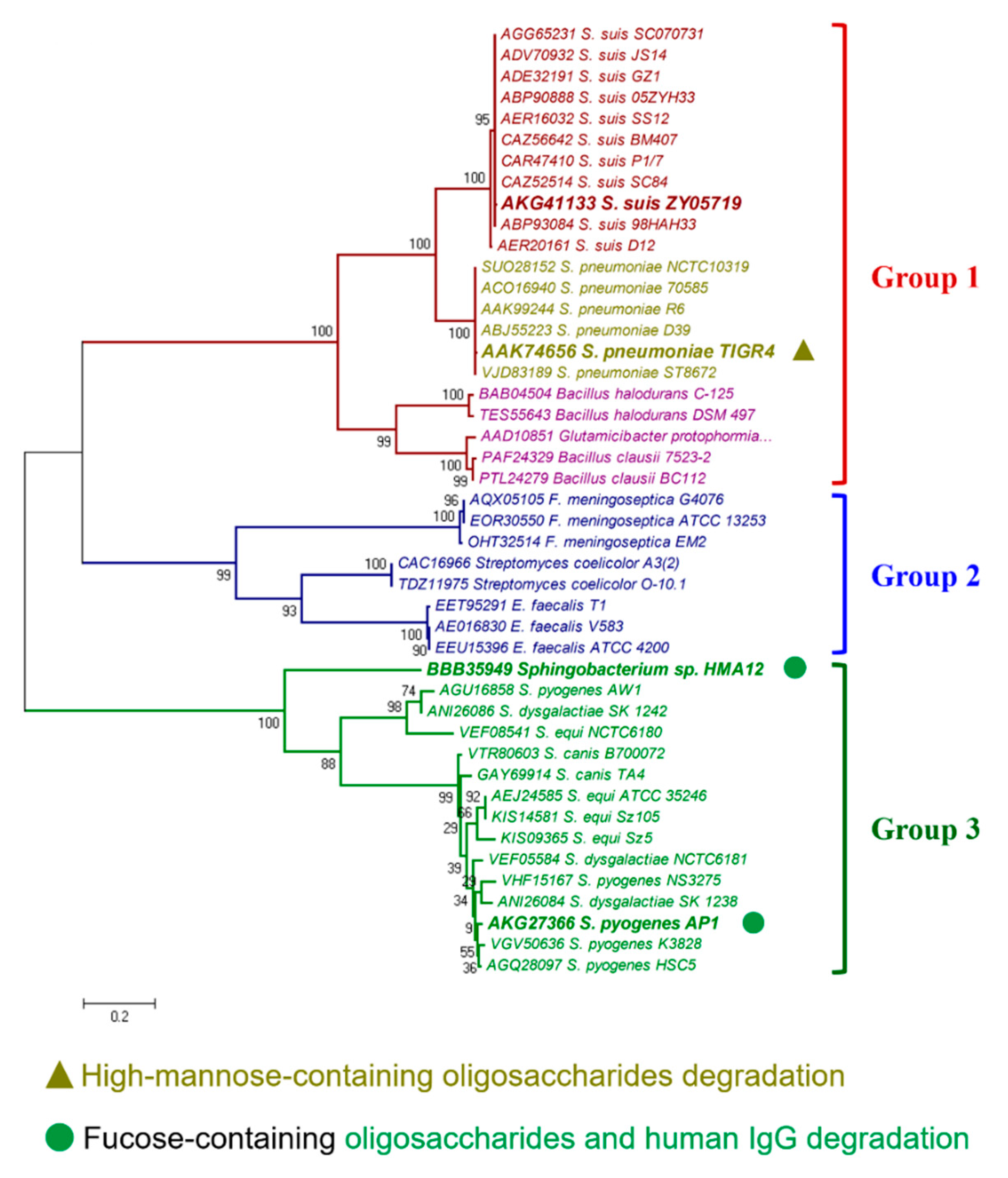 Pathogens 09 00387 g004 Pathogens 09 00387 g004