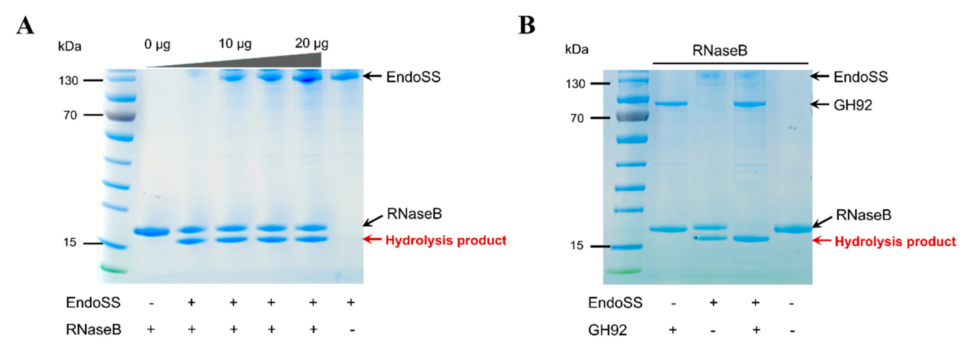 Pathogens 09 00387 g006 Pathogens 09 00387 g006
