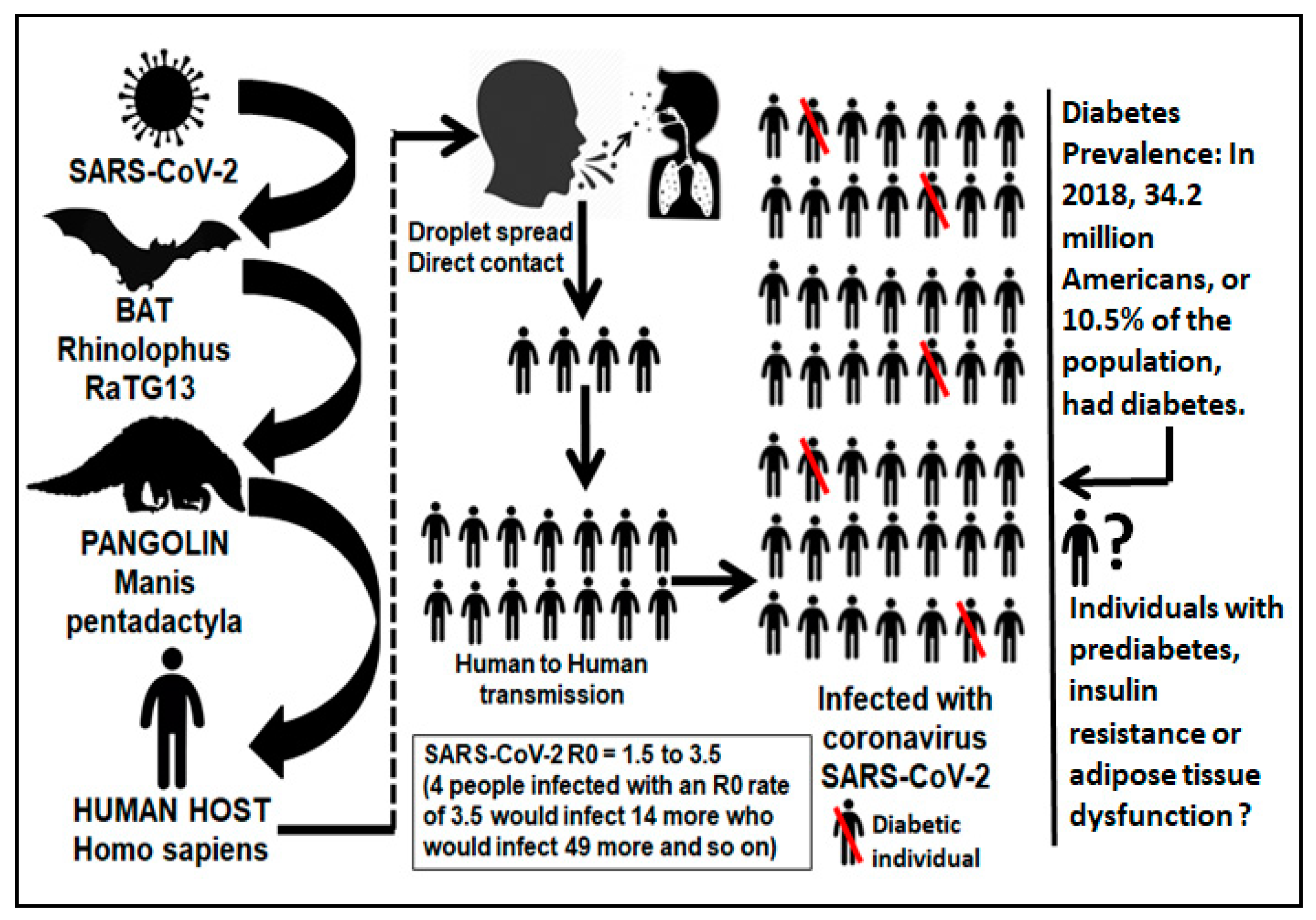 Pathogens 09 00389 g001