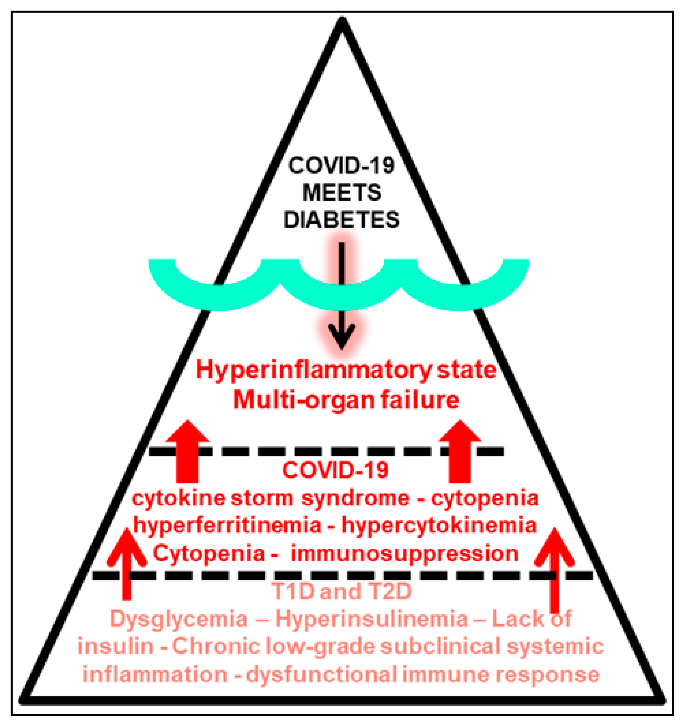 Pathogens 09 00389 g002