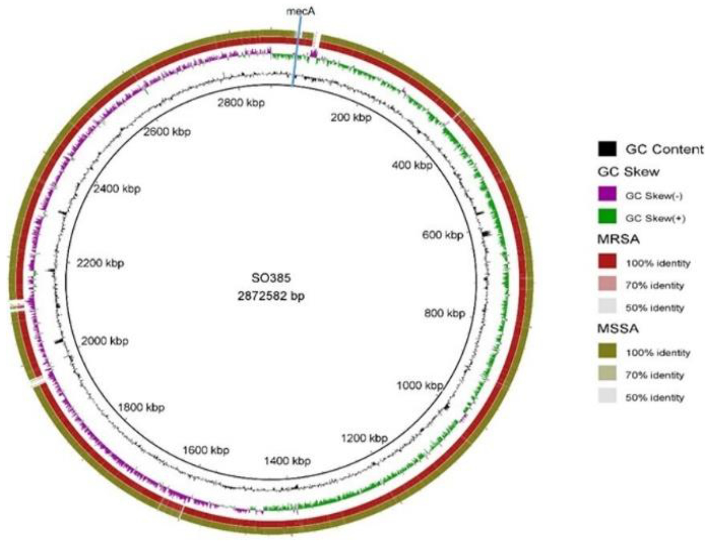 Pathogens 09 00401 g001 Pathogens 09 00401 g001
