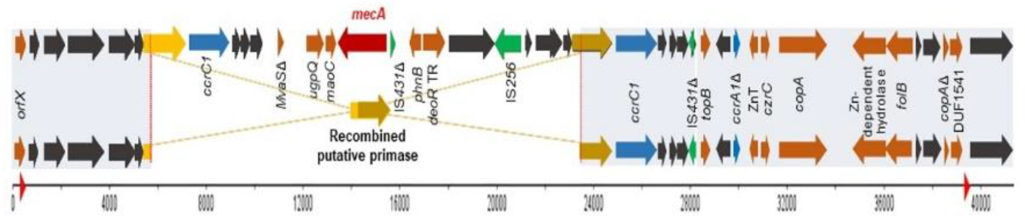 Pathogens 09 00401 g002 Pathogens 09 00401 g002
