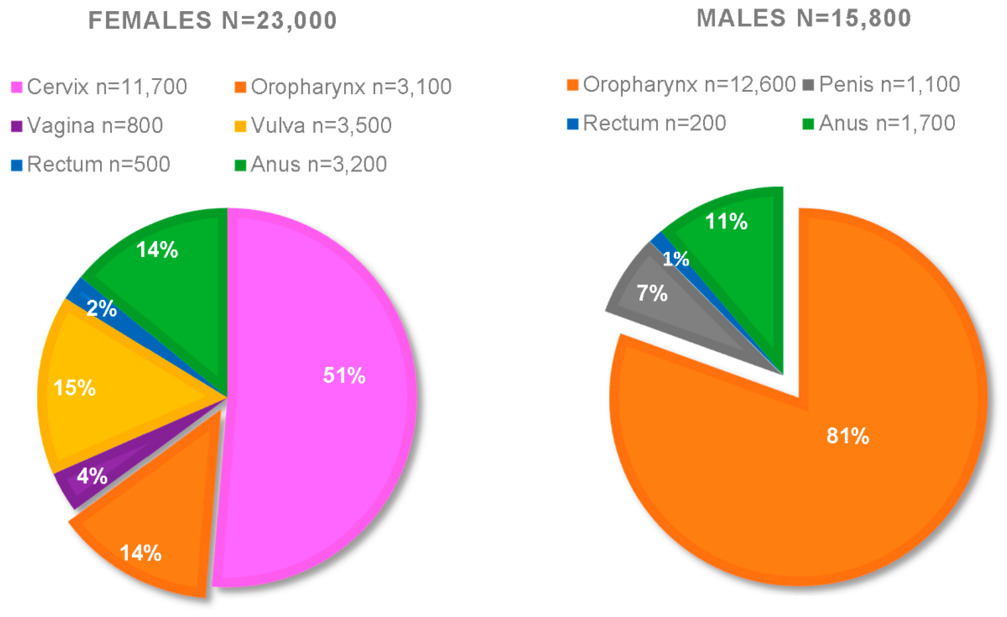 Pathogens 09 00403 g001