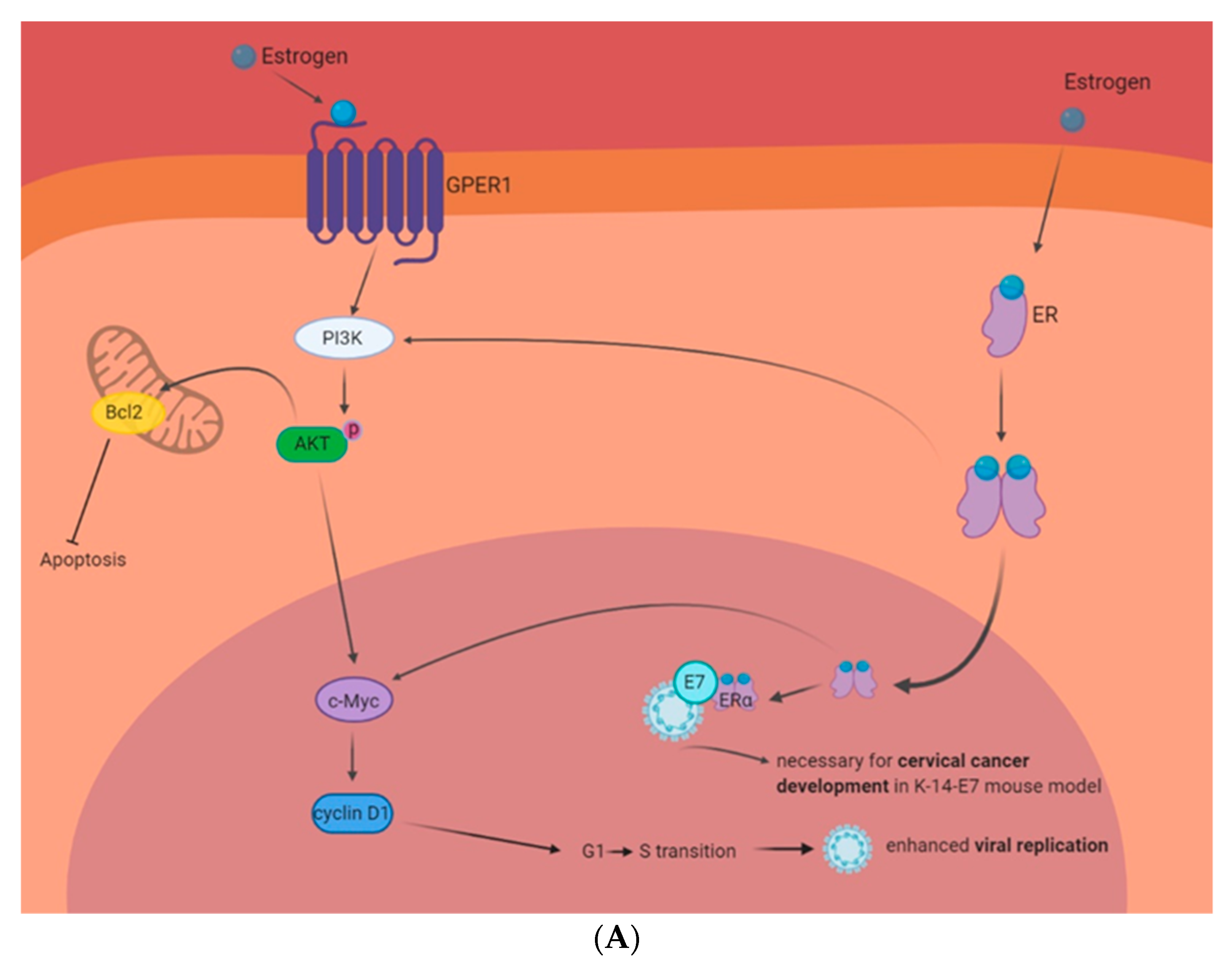 Pathogens 09 00403 g002a