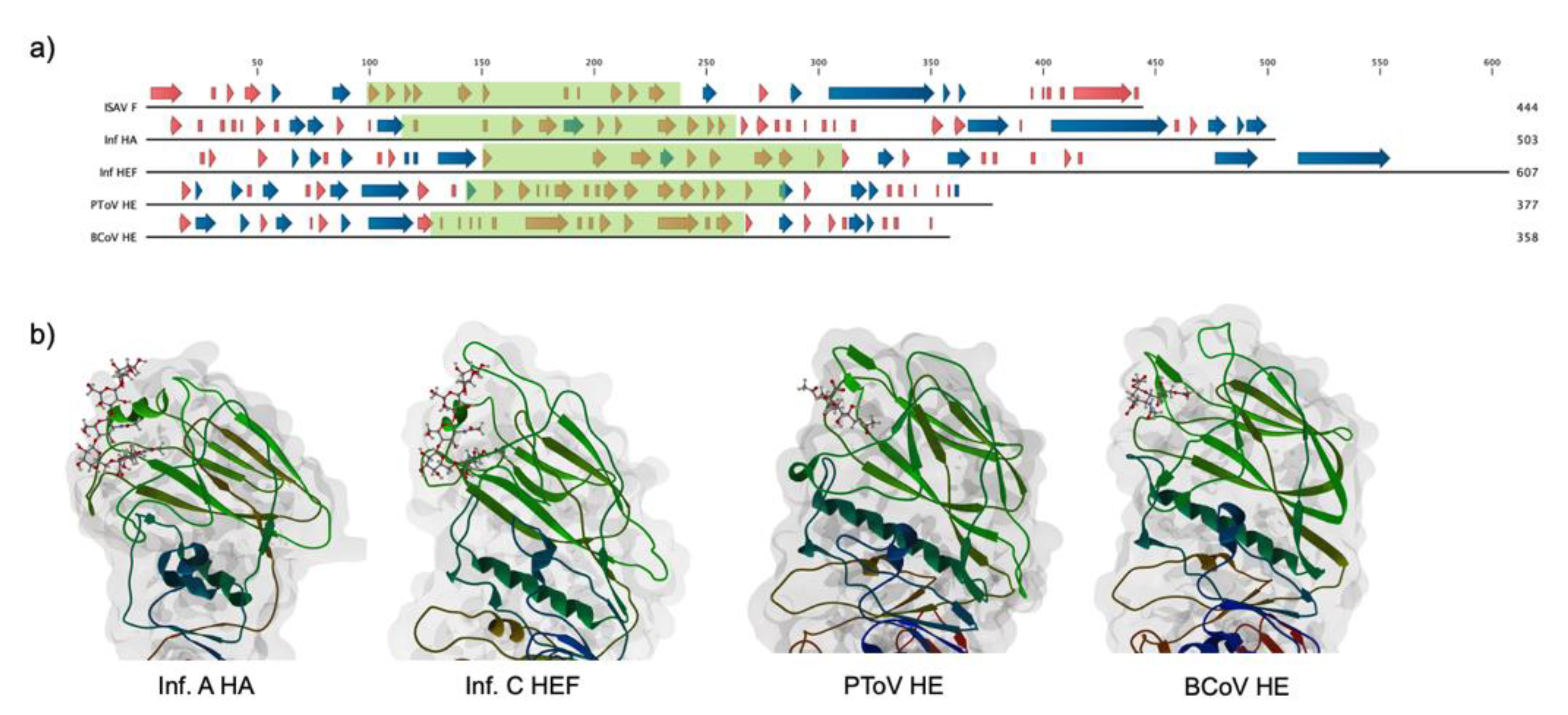 Pathogens 09 00416 g001