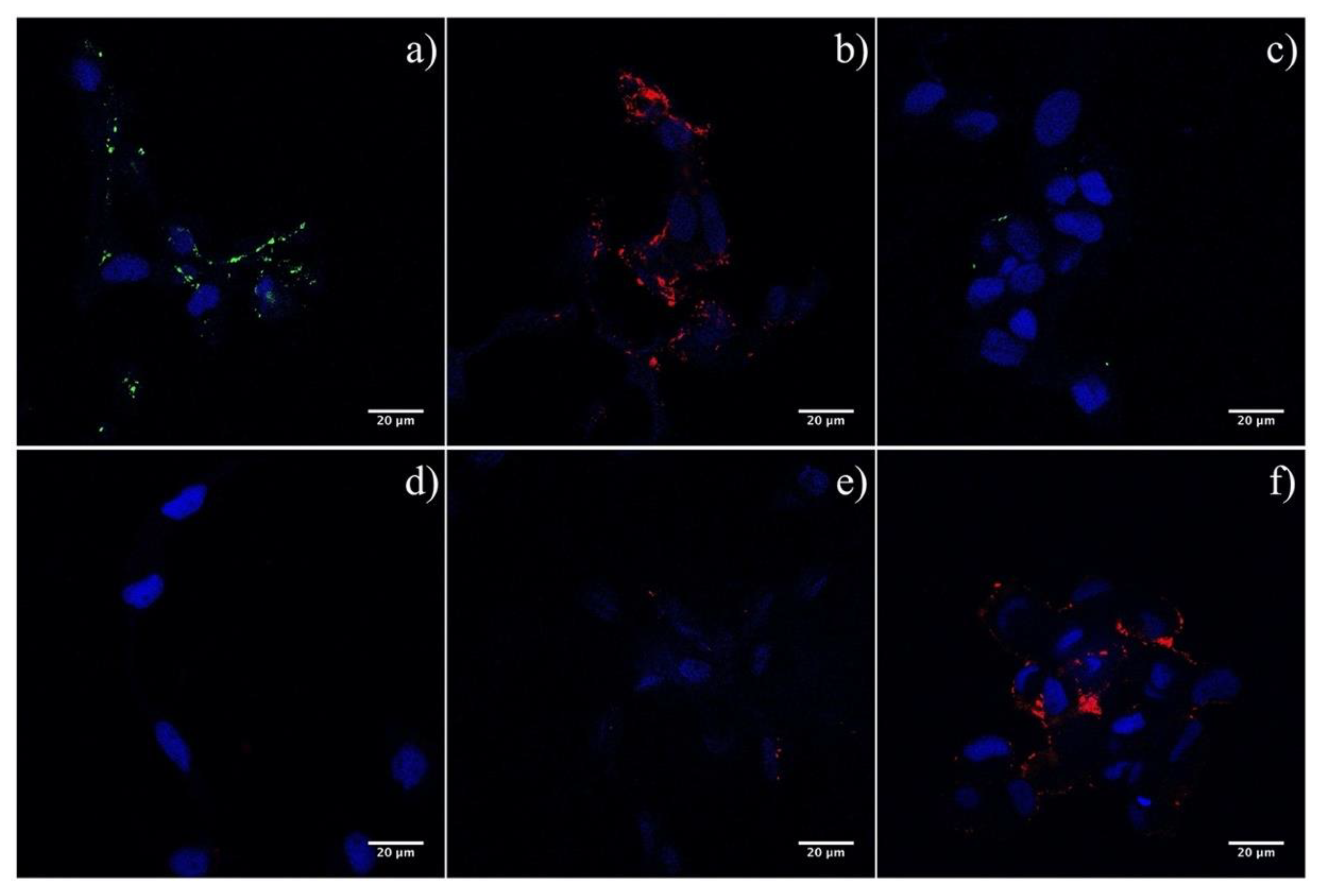 Pathogens 09 00416 g003