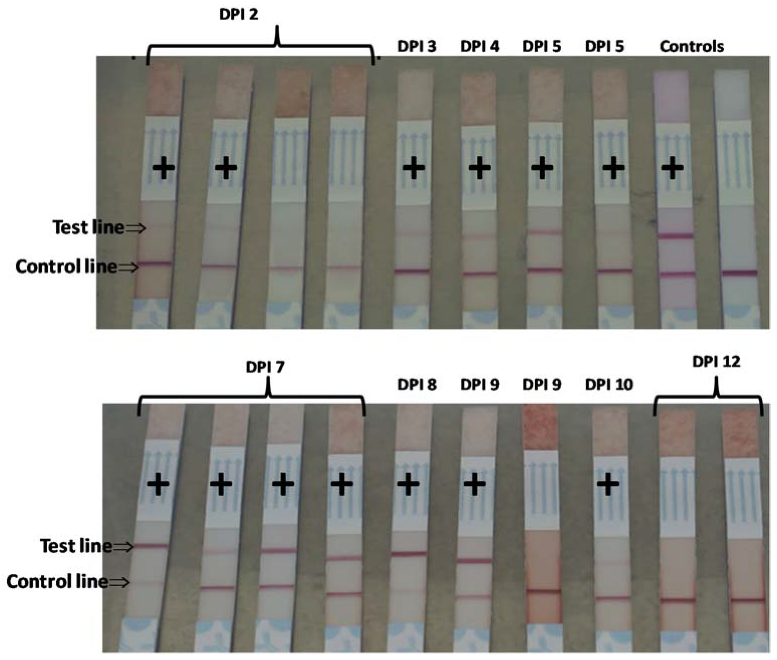 Pathogens 09 00424 g005