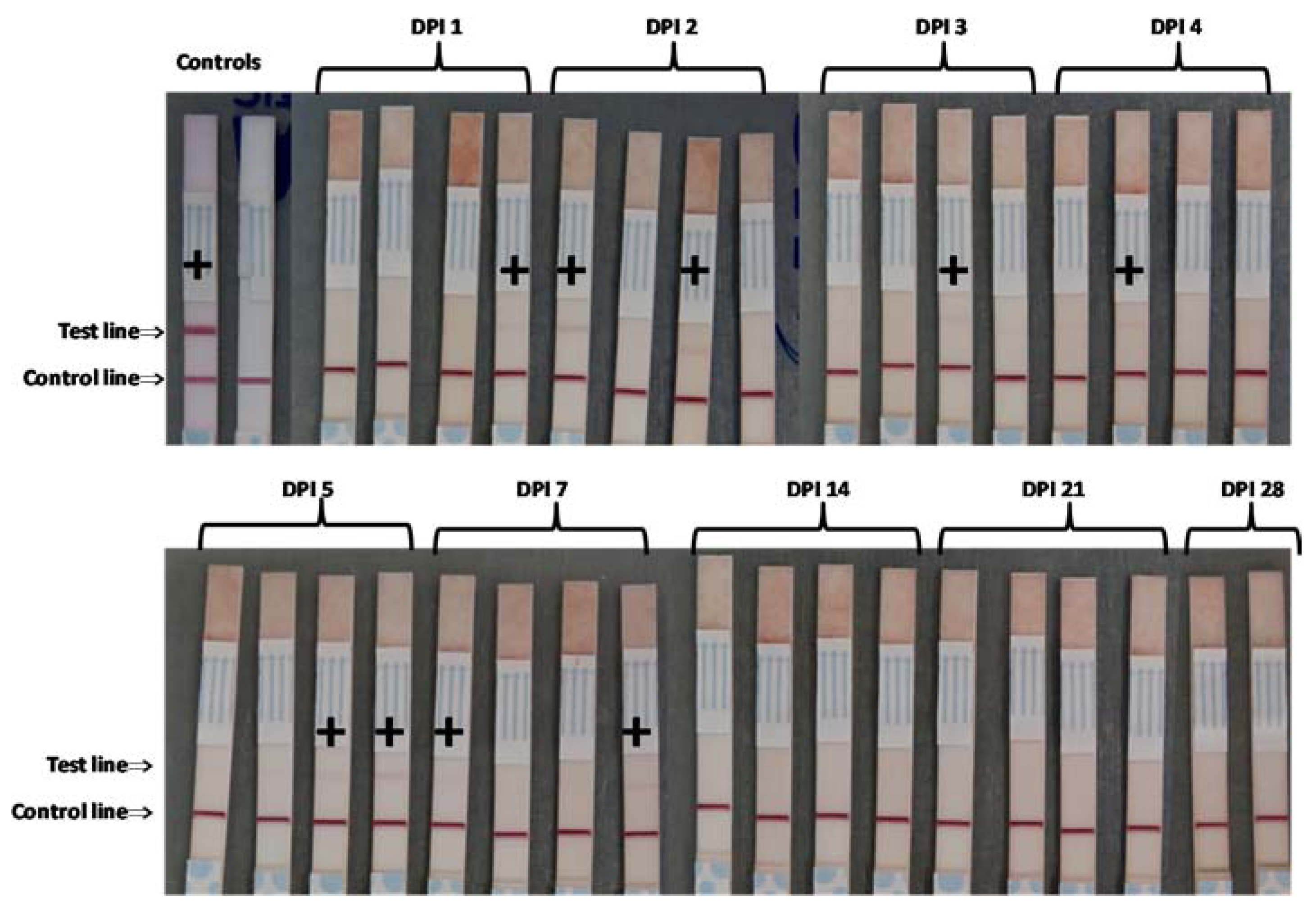 Pathogens 09 00424 g006