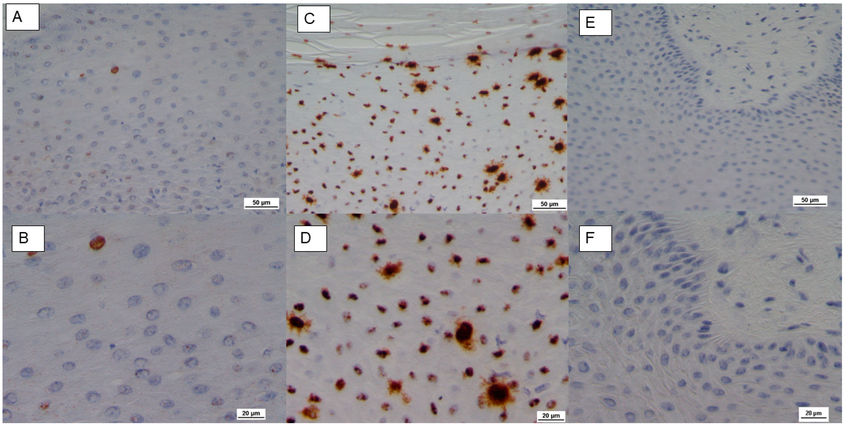 Pathogens 09 00429 g002