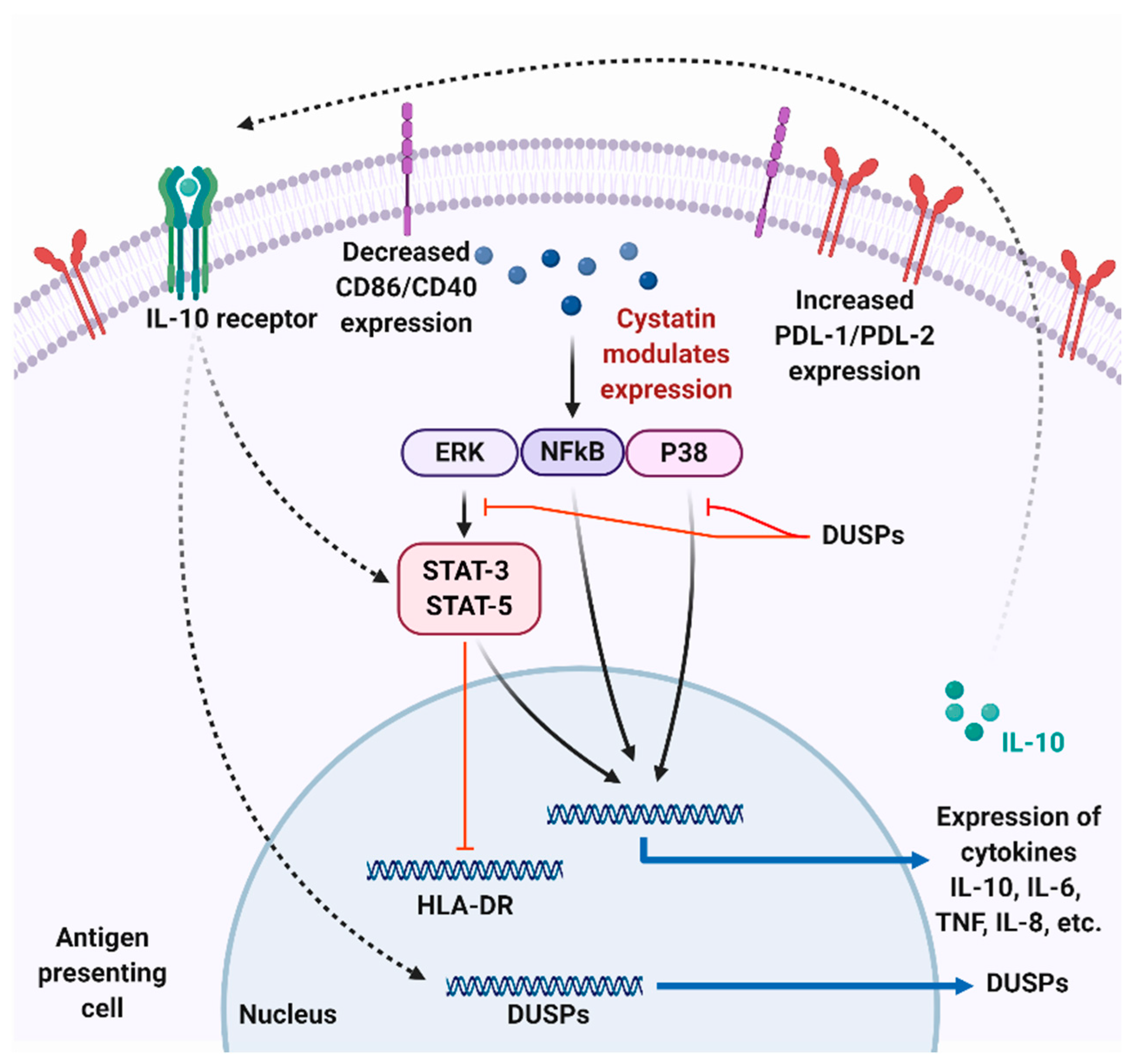 Pathogens 09 00431 g003