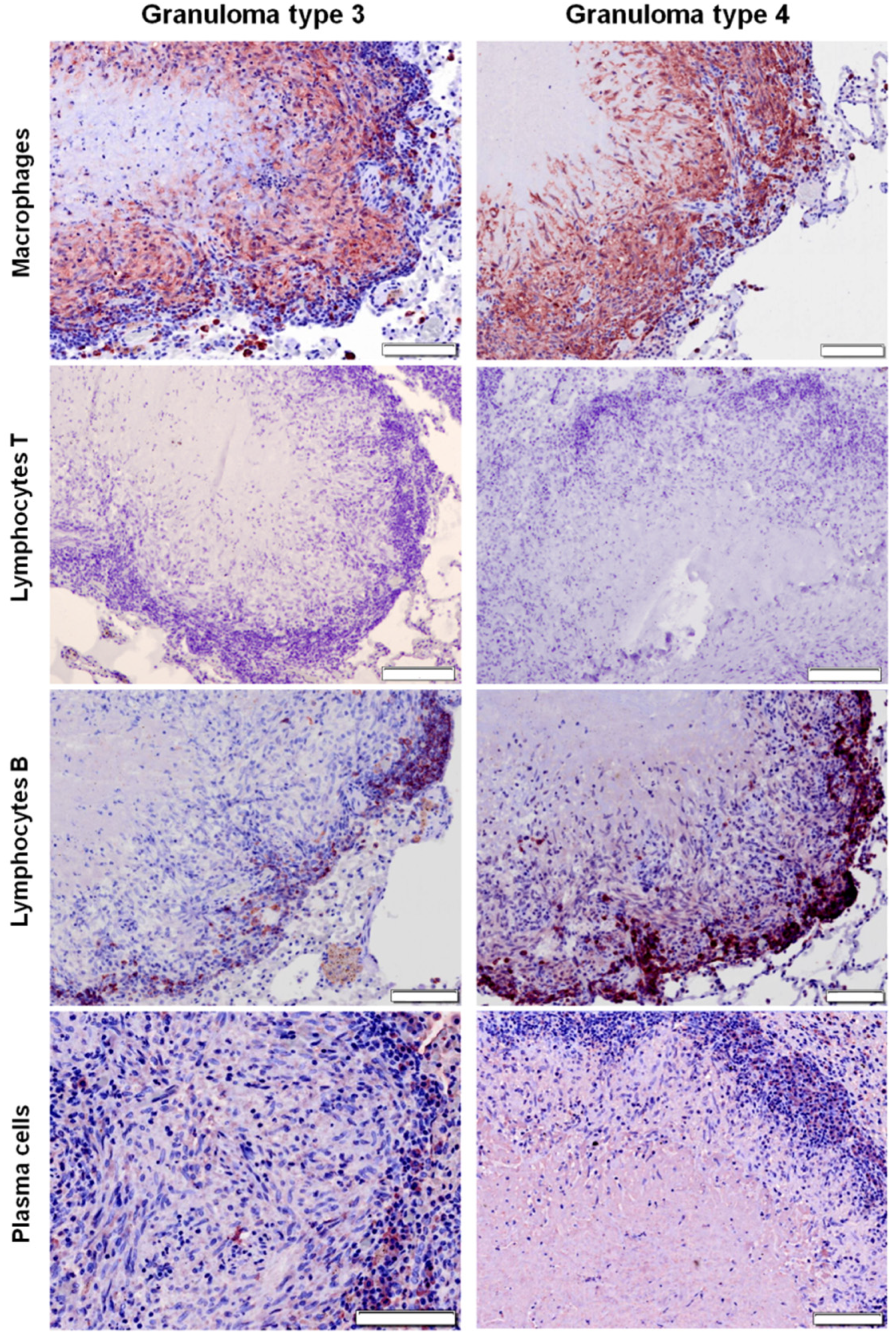 Pathogens 09 00456 g003