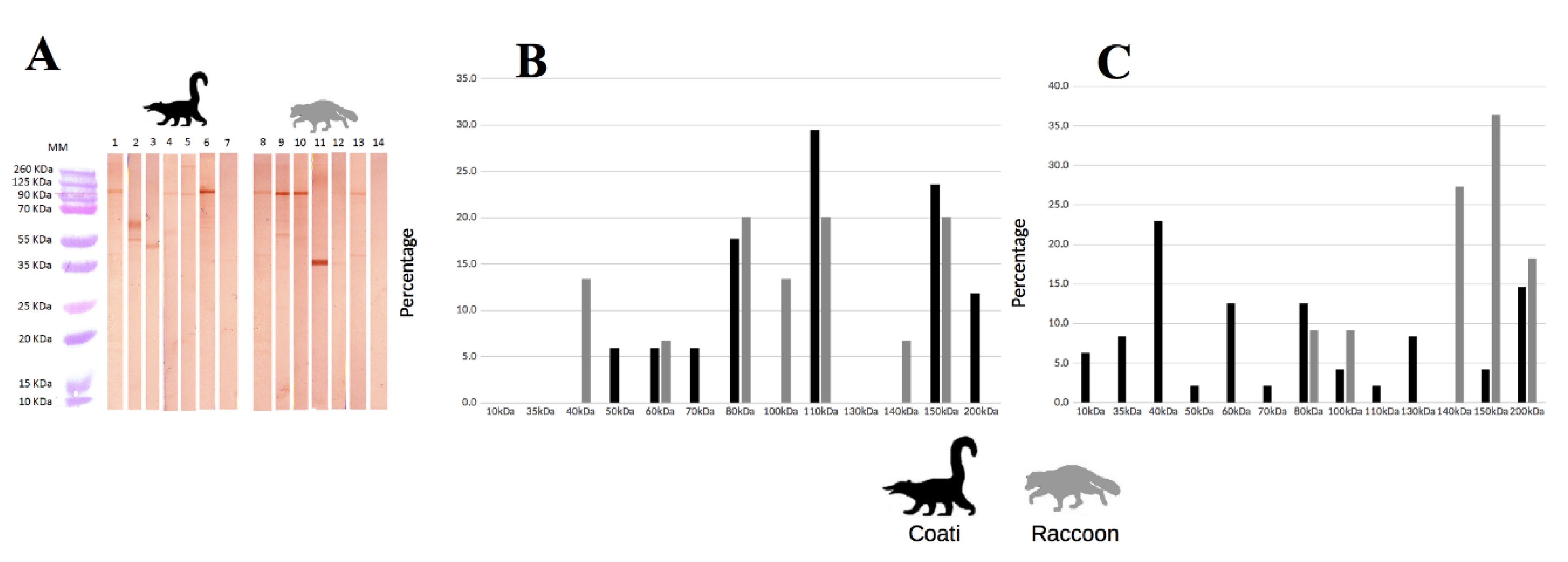 Pathogens 09 00464 g002
