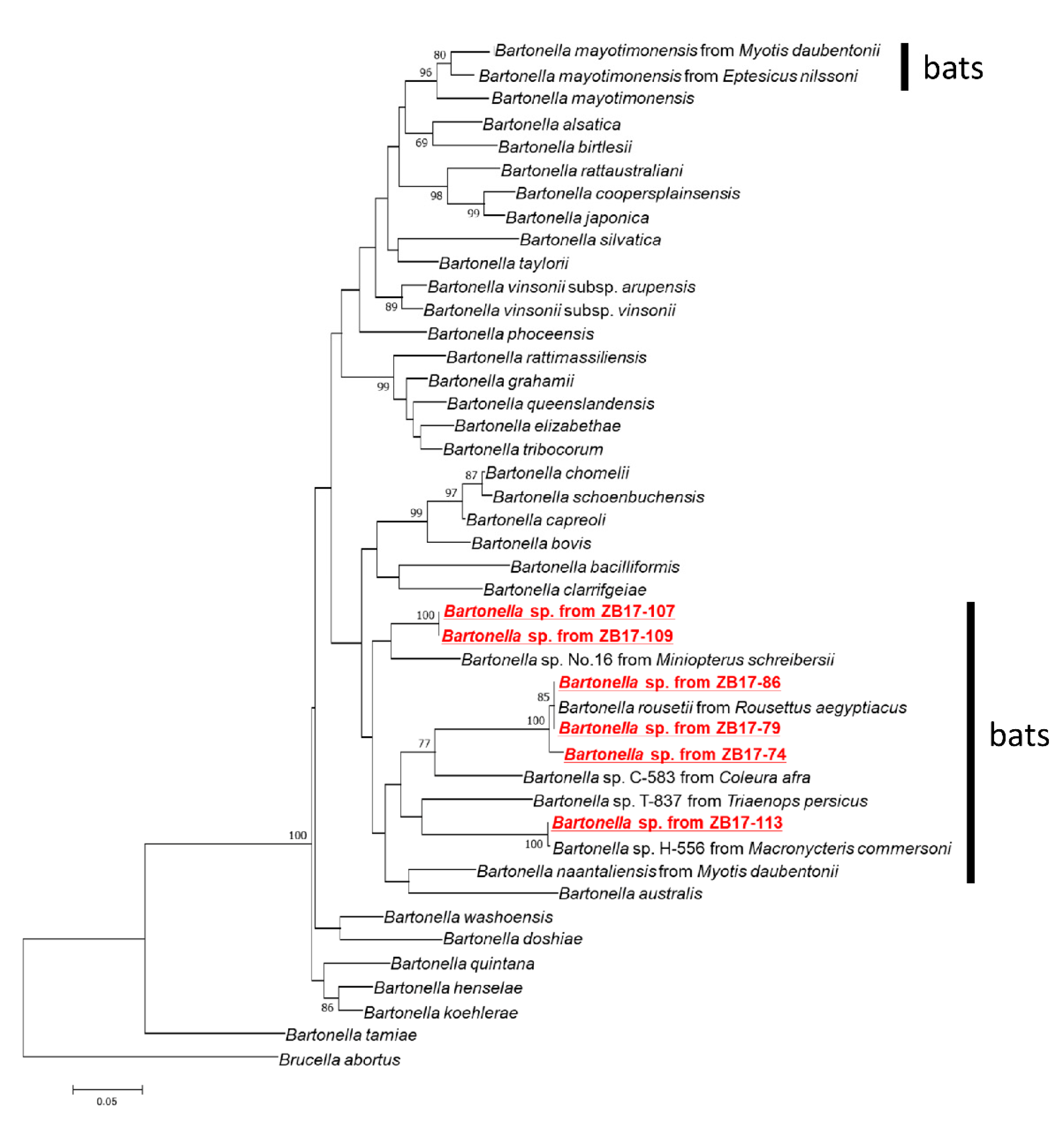 Pathogens 09 00469 g002