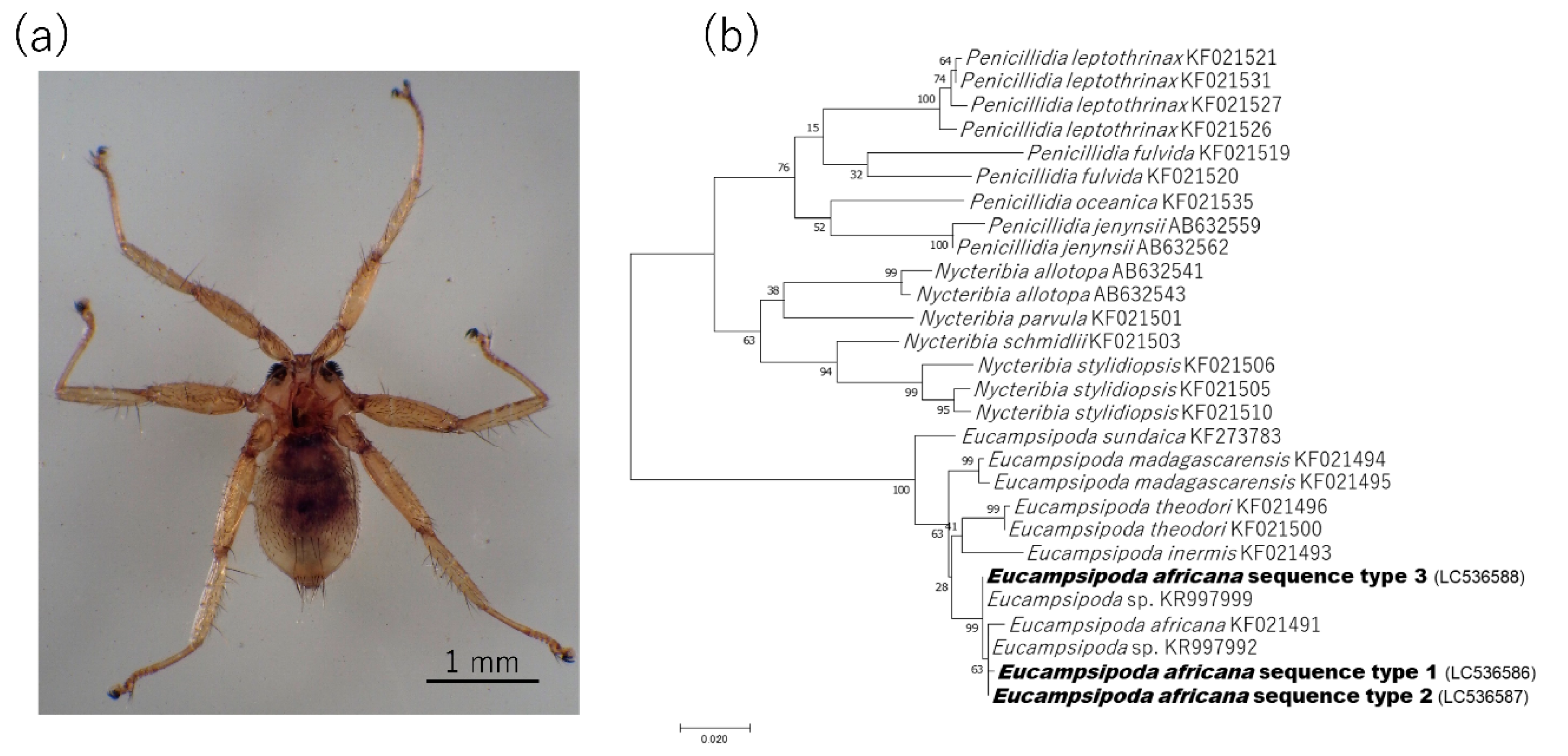 Pathogens 09 00469 g003