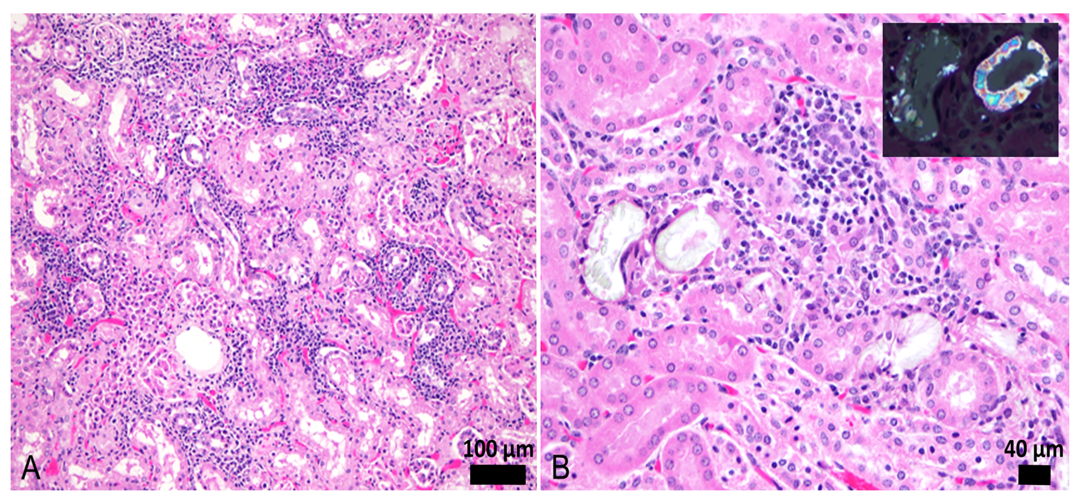 Pathogens 09 00474 g002