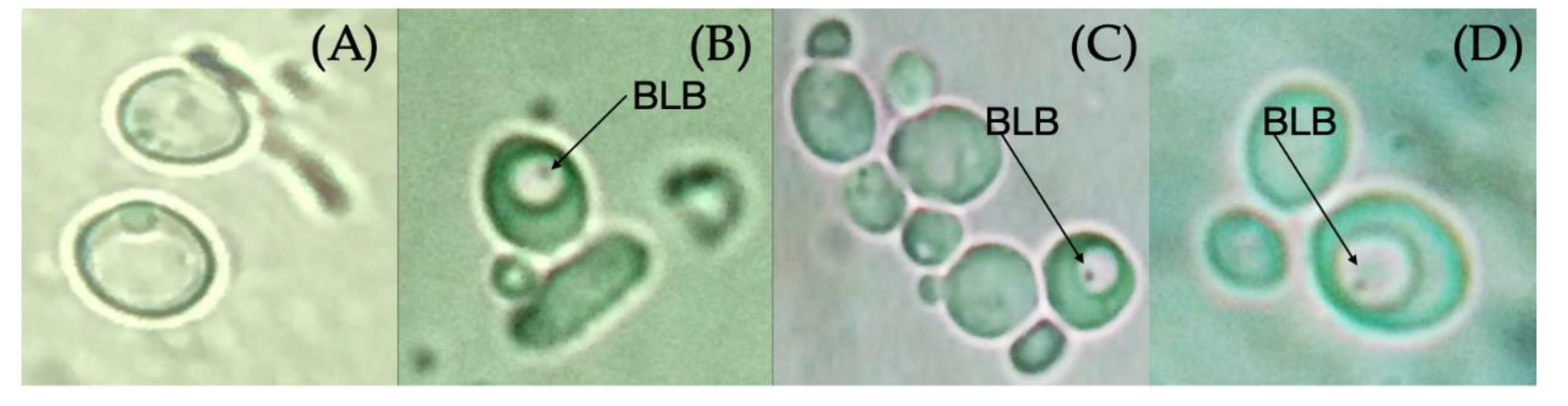 Pathogens 09 00489 g003