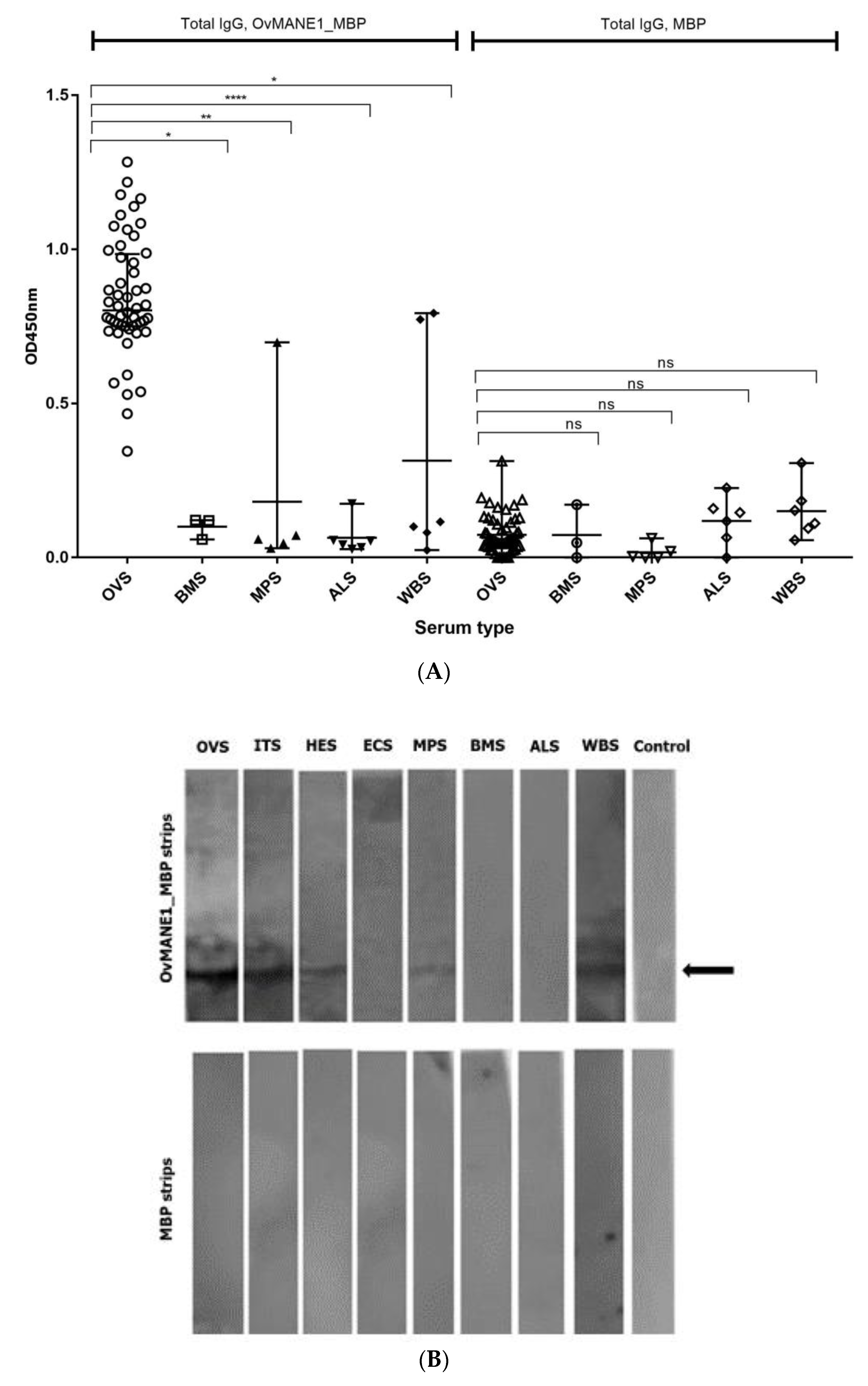 Pathogens 09 00495 g007