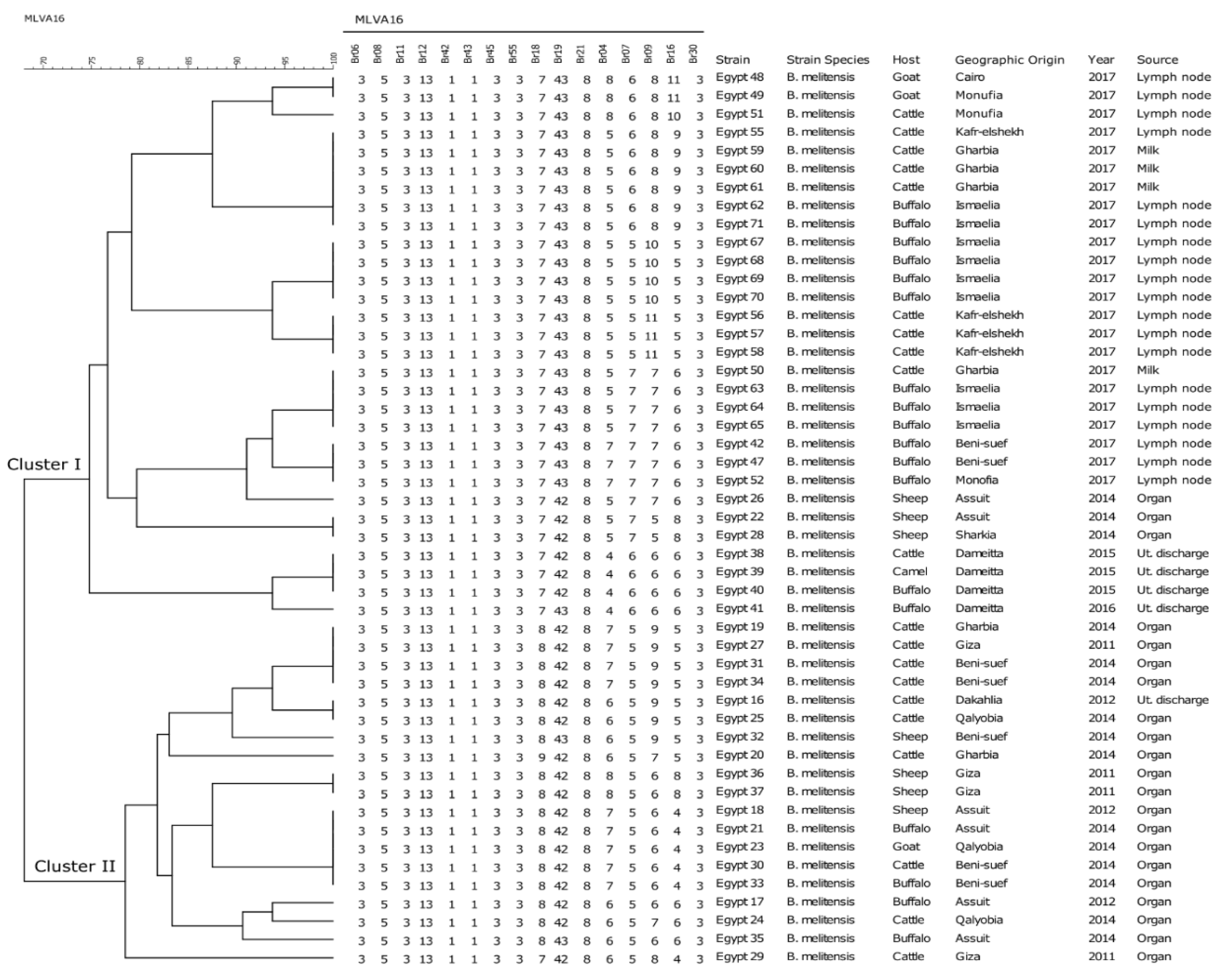 Pathogens 09 00498 g001