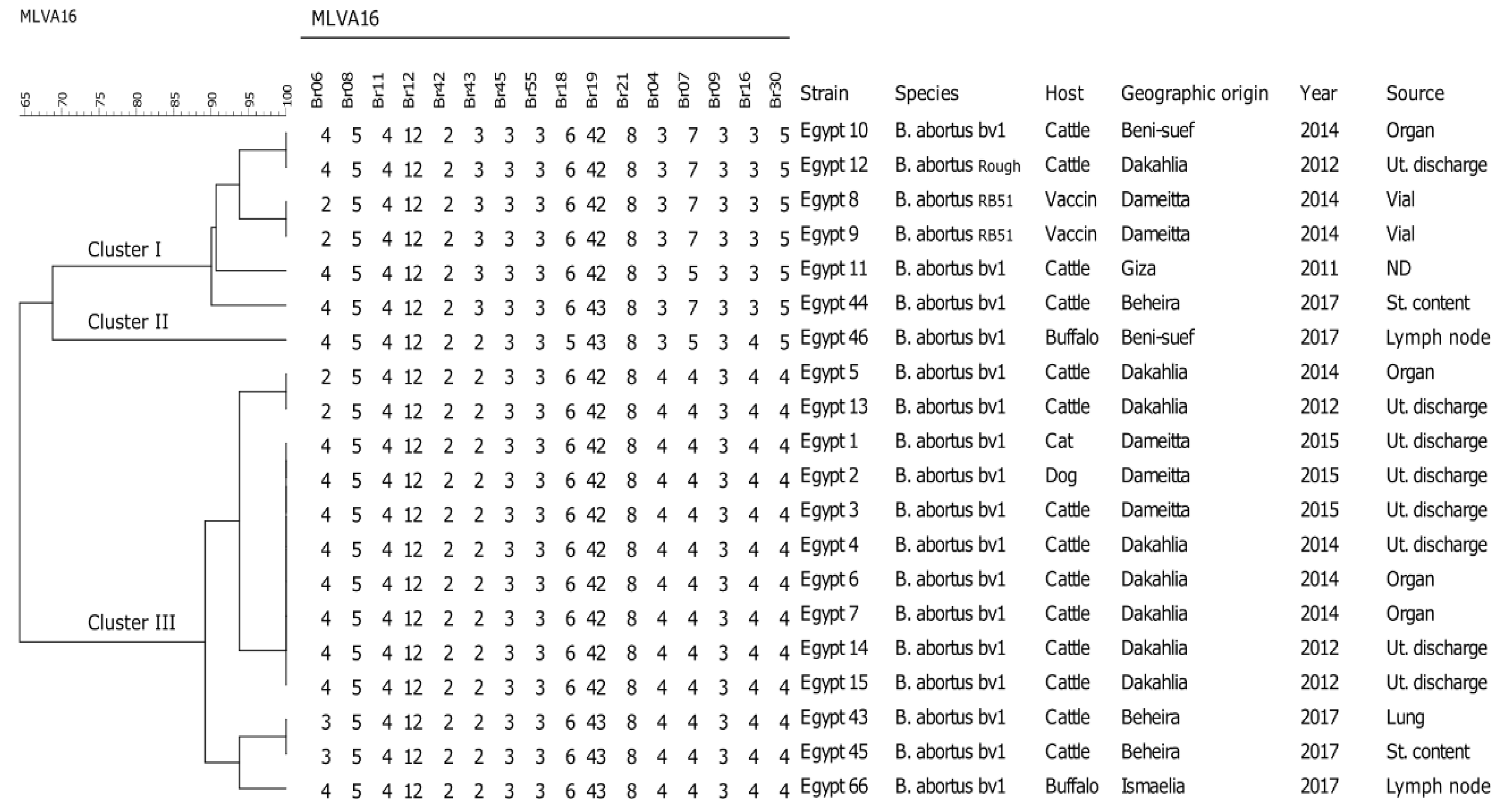 Pathogens 09 00498 g002