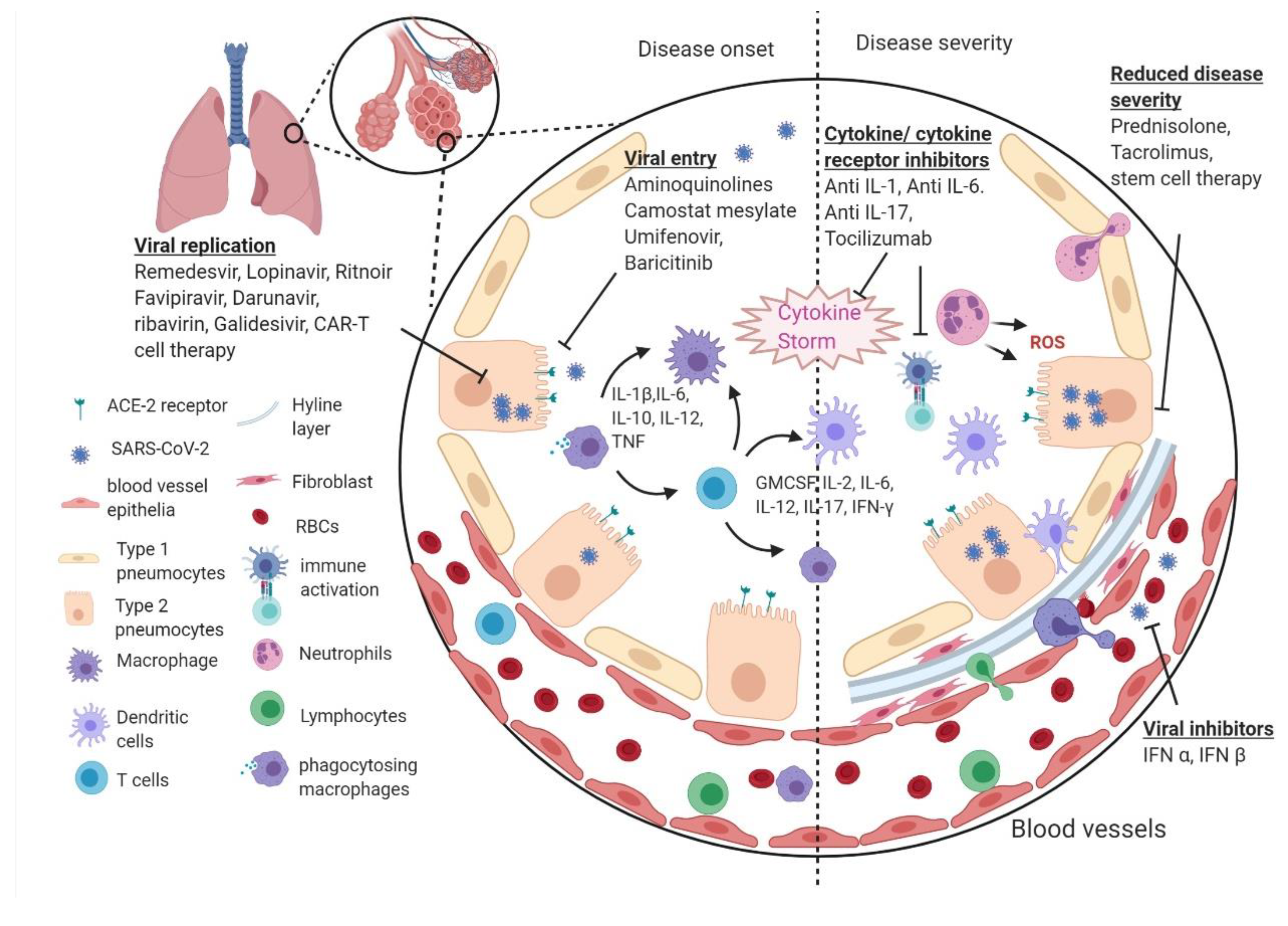 Pathogens 09 00501 g001
