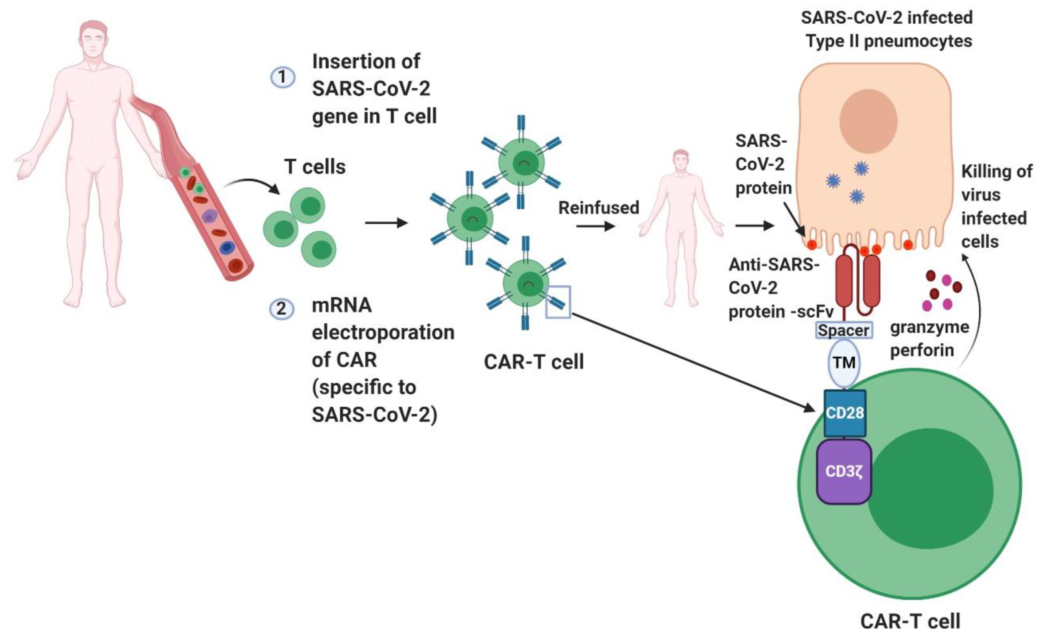 Pathogens 09 00501 g003
