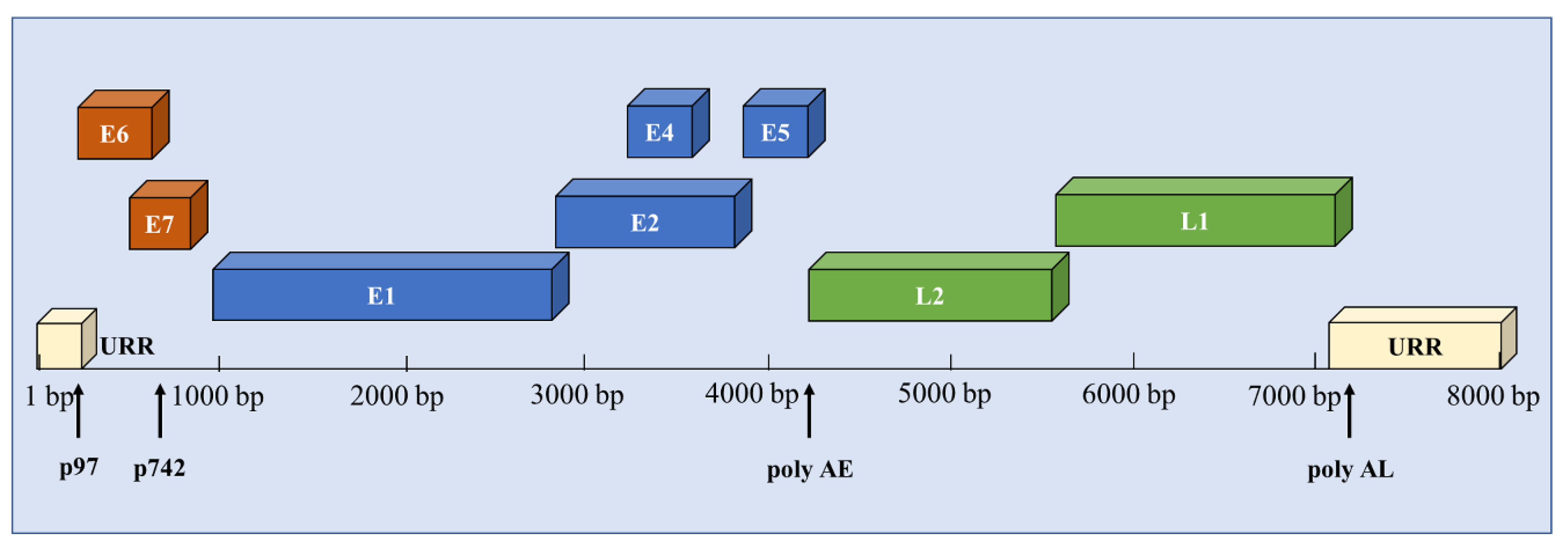 Pathogens 09 00506 g001