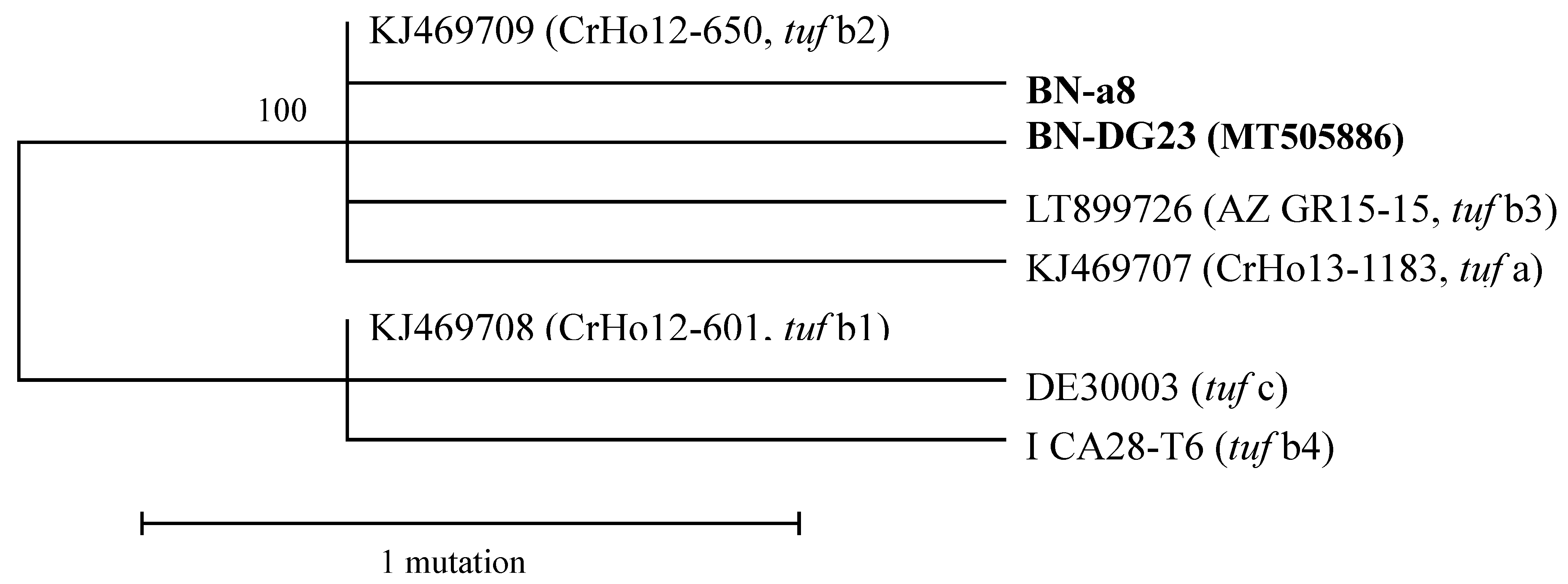 Pathogens 09 00508 g001 Pathogens 09 00508 g001