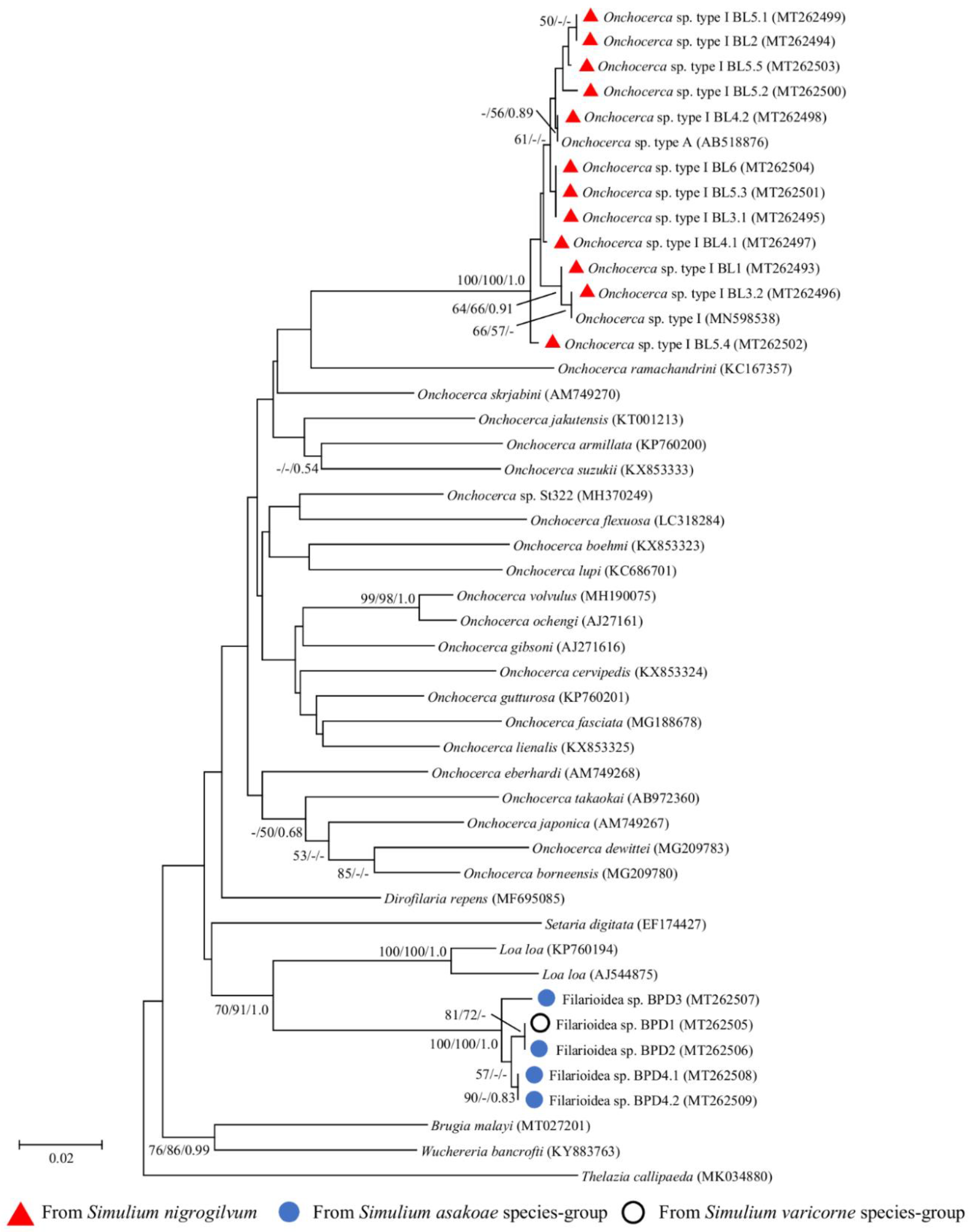 Pathogens 09 00512 g002 Pathogens 09 00512 g002