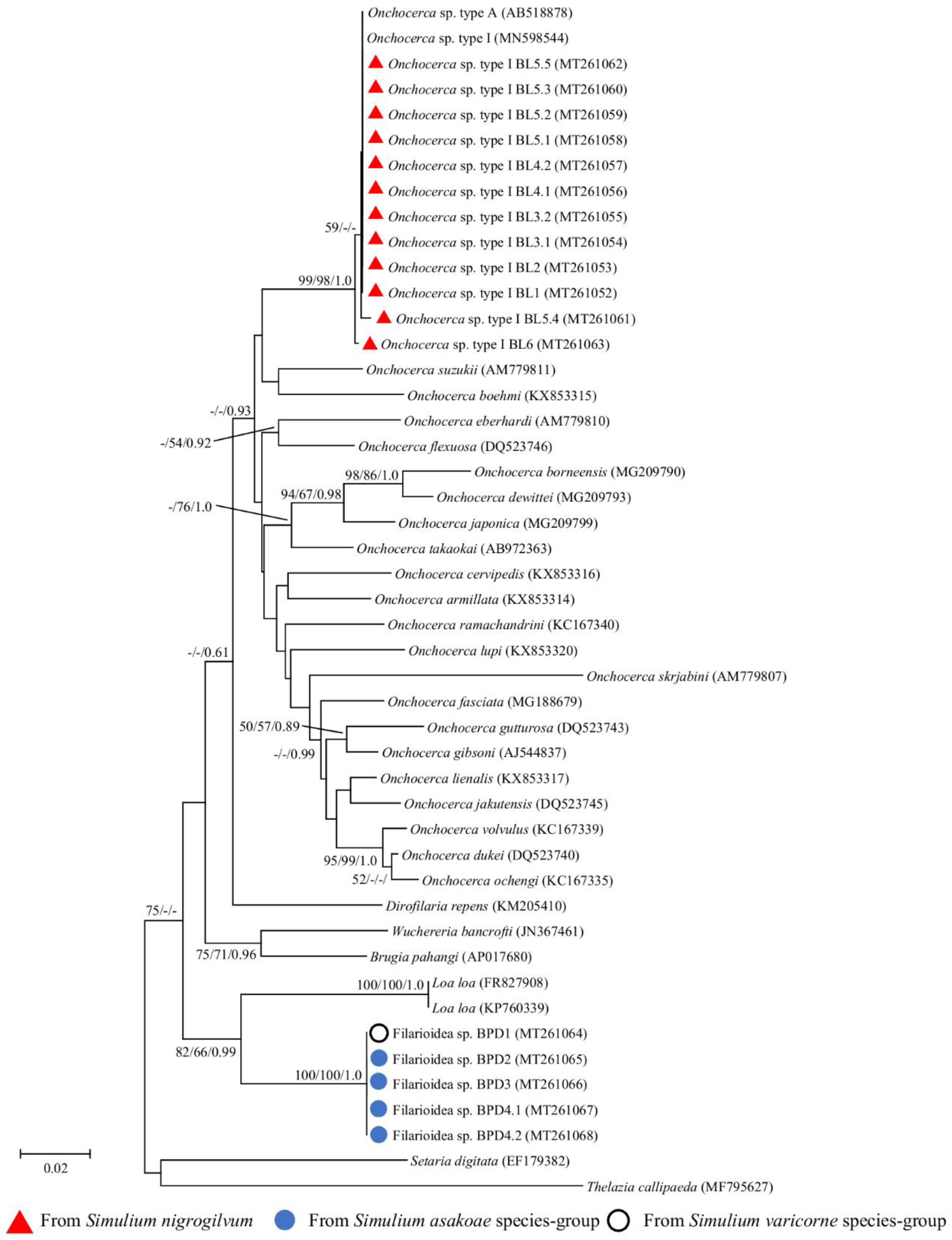 Pathogens 09 00512 g003 Pathogens 09 00512 g003
