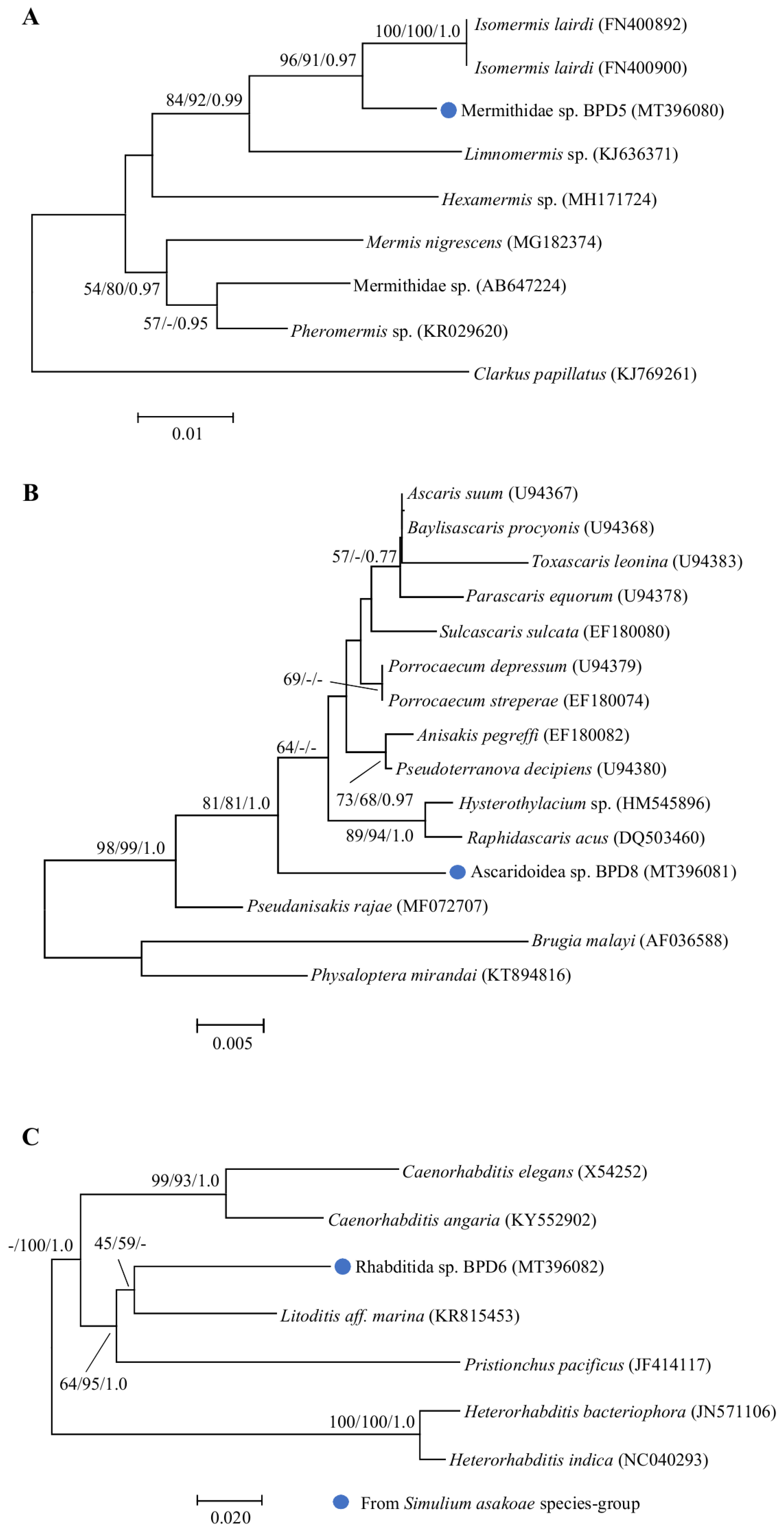Pathogens 09 00512 g004 Pathogens 09 00512 g004