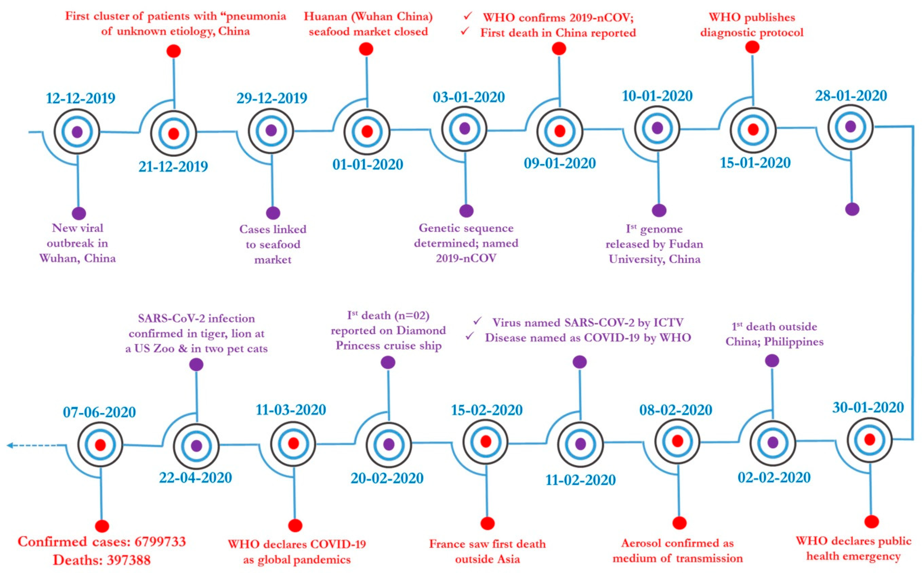 Pathogens 09 00519 g001