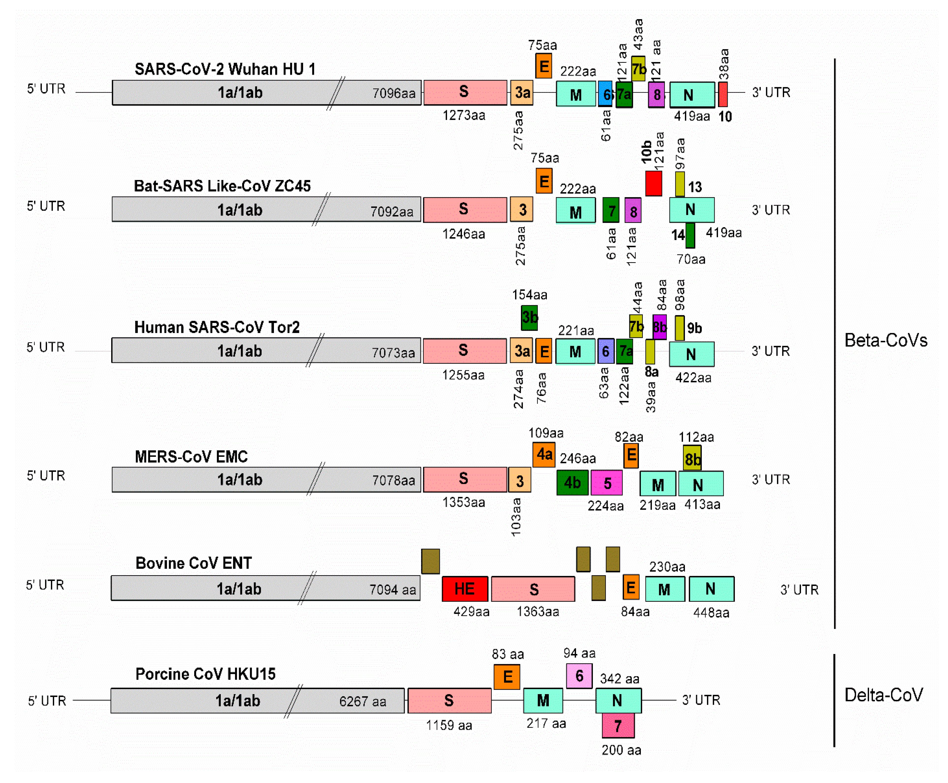 Pathogens 09 00519 g002