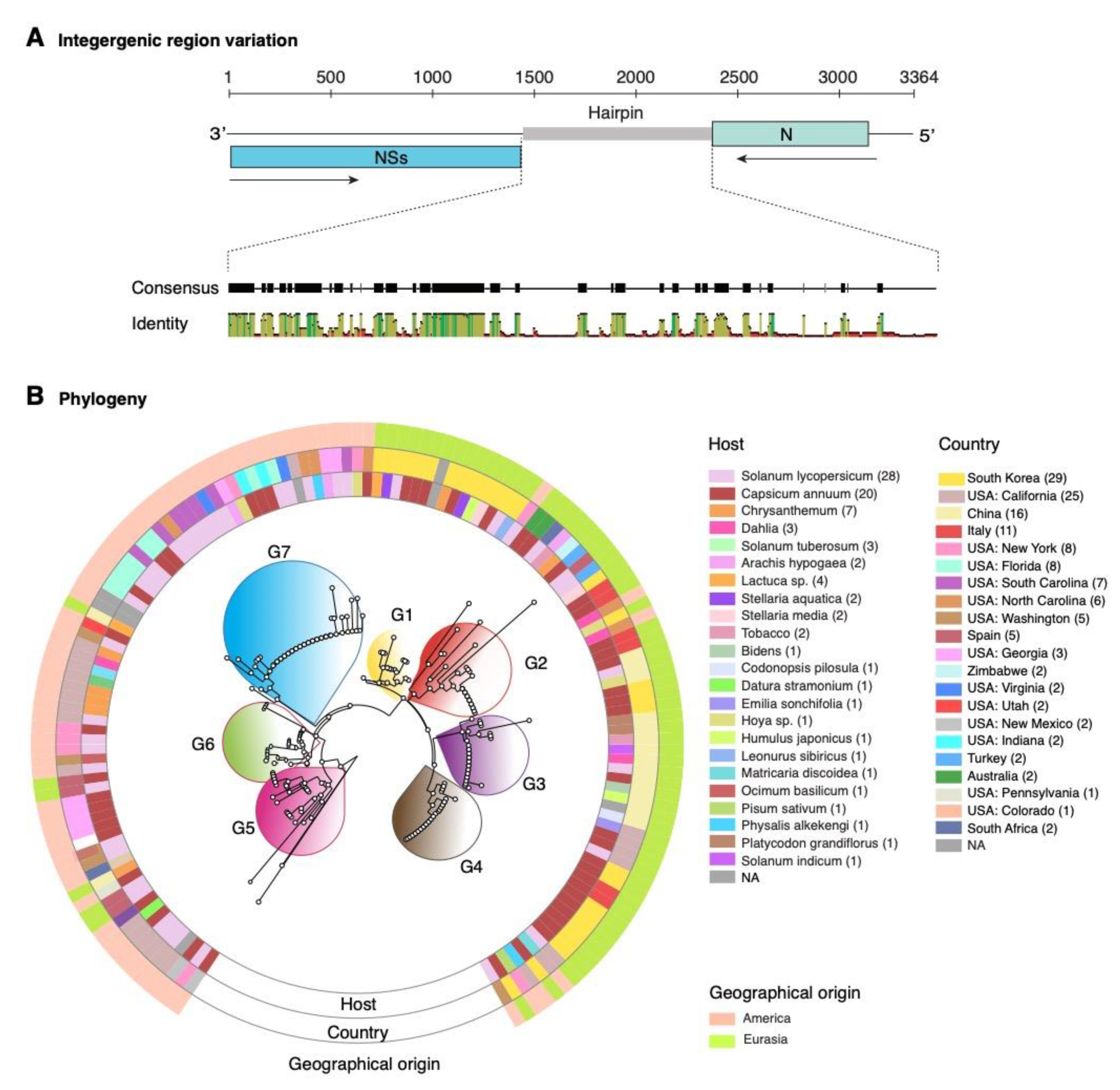 Pathogens 09 00521 g007