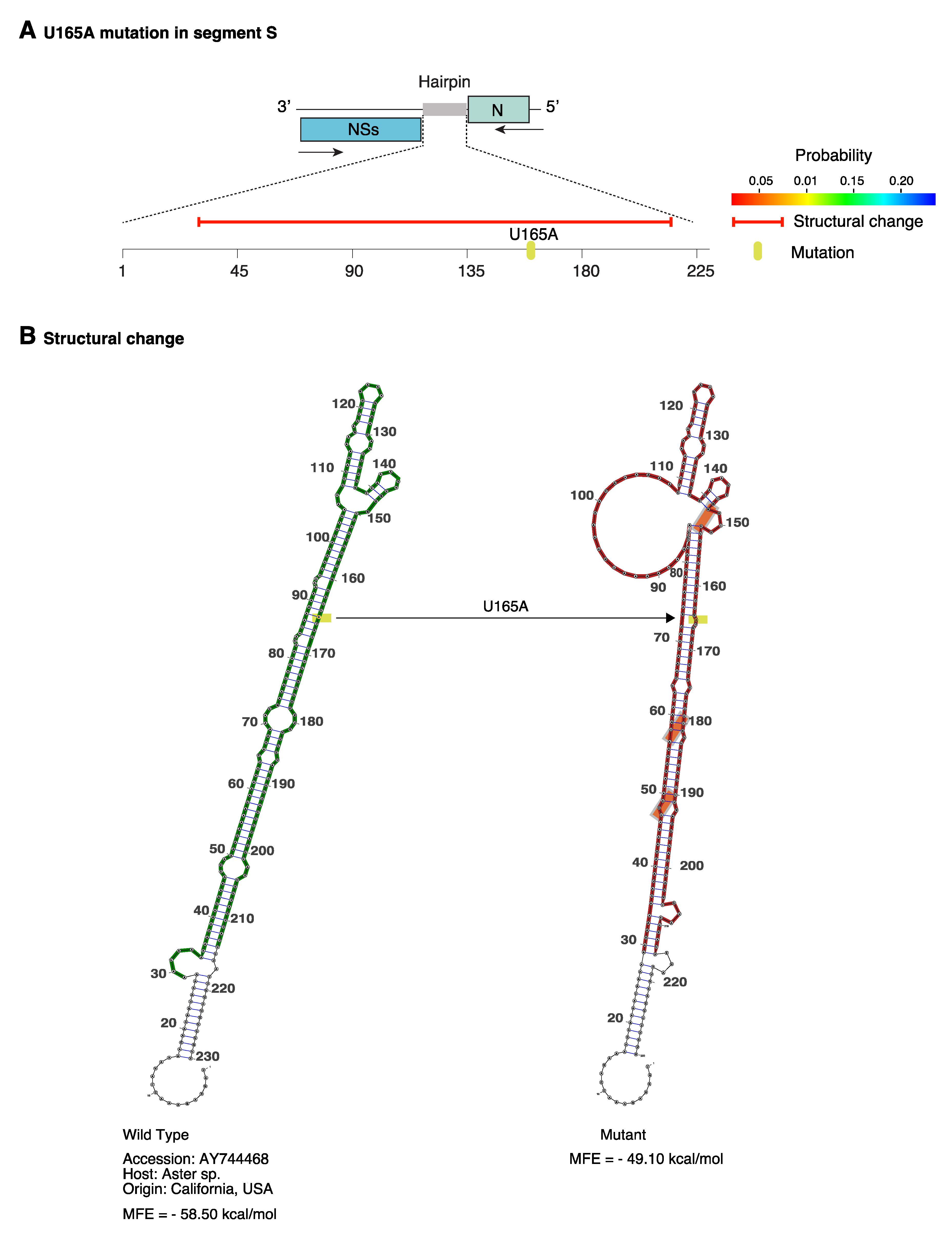 Pathogens 09 00521 g009