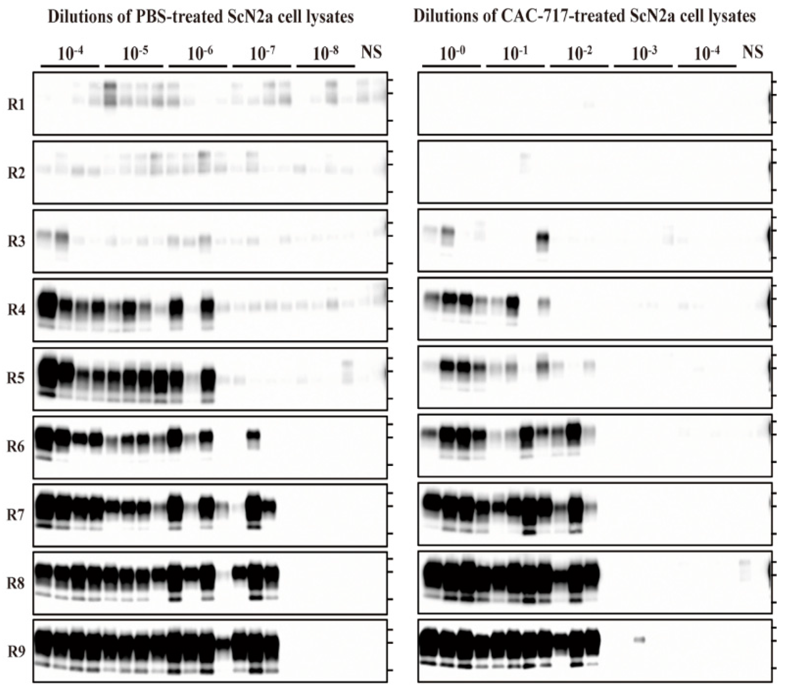Pathogens 09 00536 g003