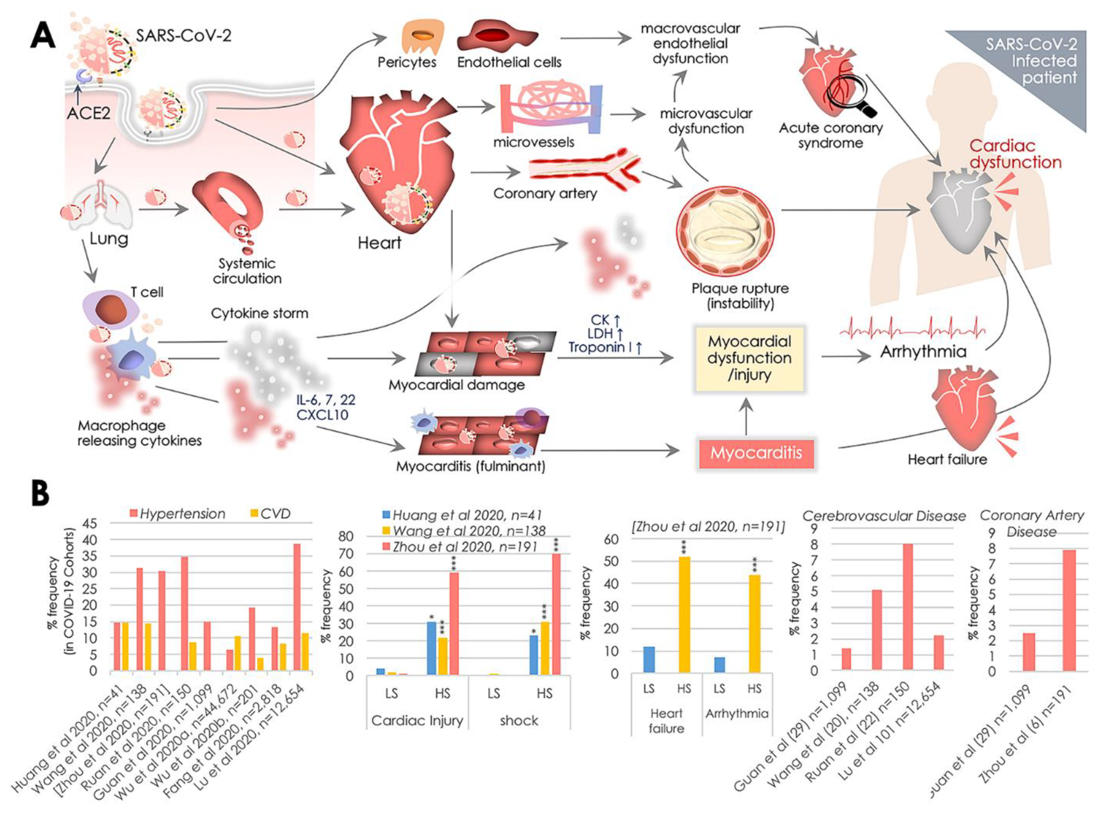 Pathogens 09 00546 g001 Pathogens 09 00546 g001